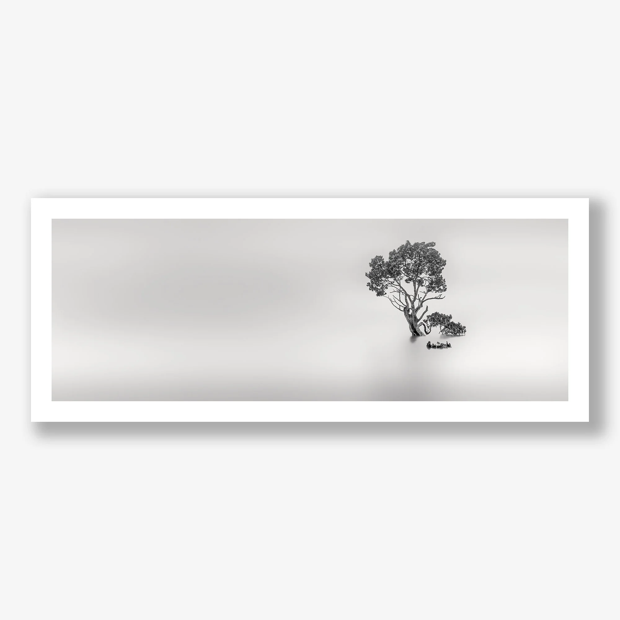 zen-tree-no2-print.jpg
