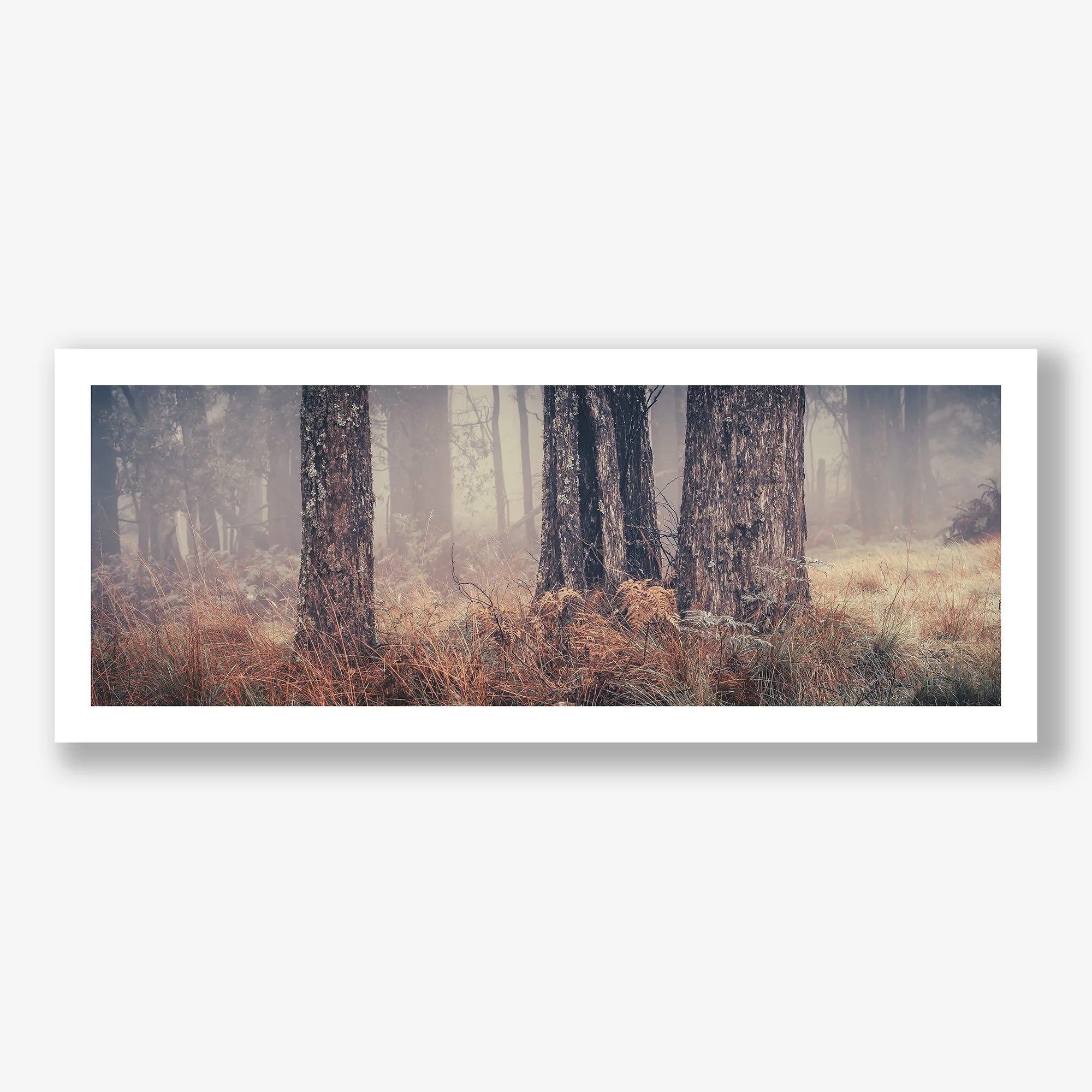 TREES IN FOG #3