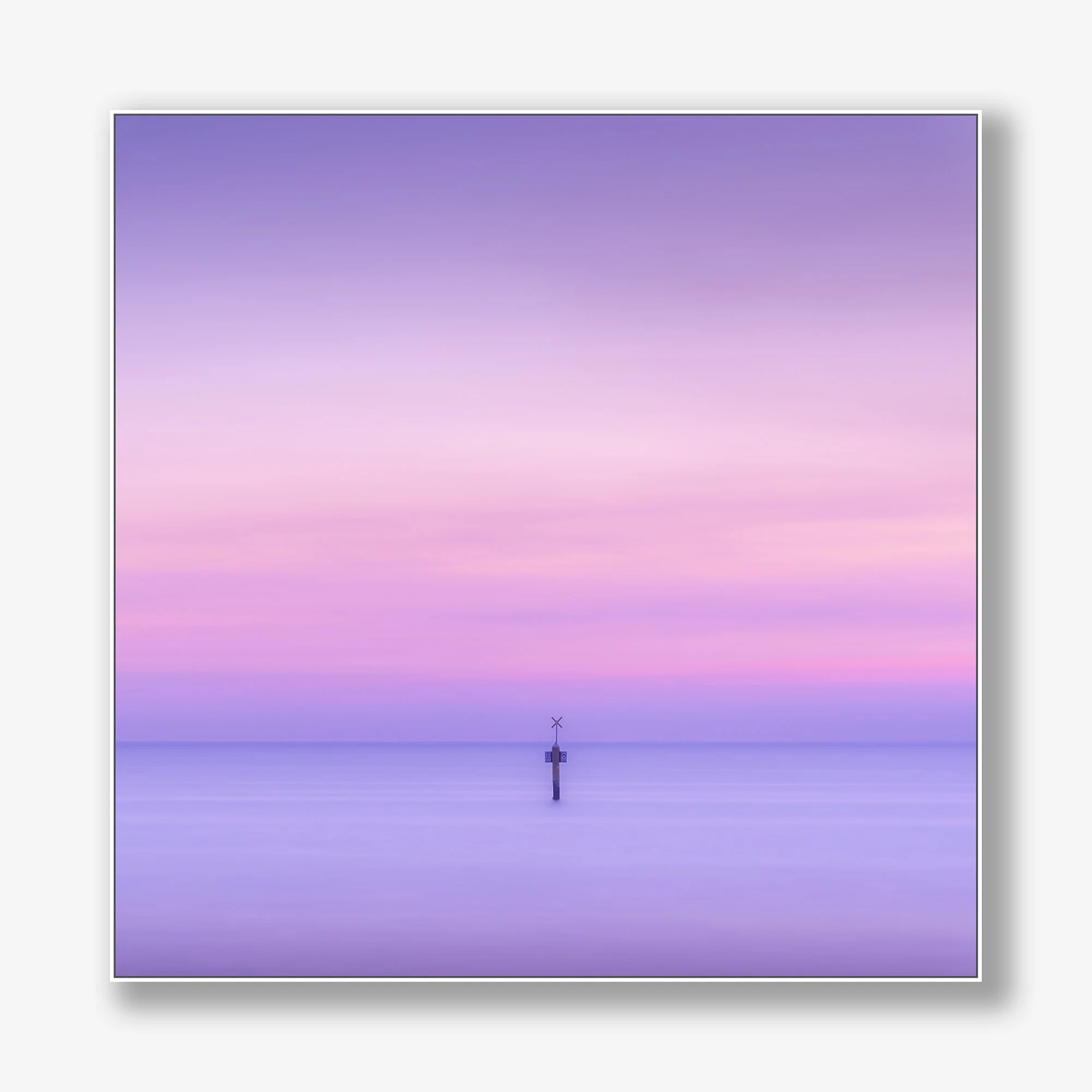 evening-pinks-canvas-white.jpg