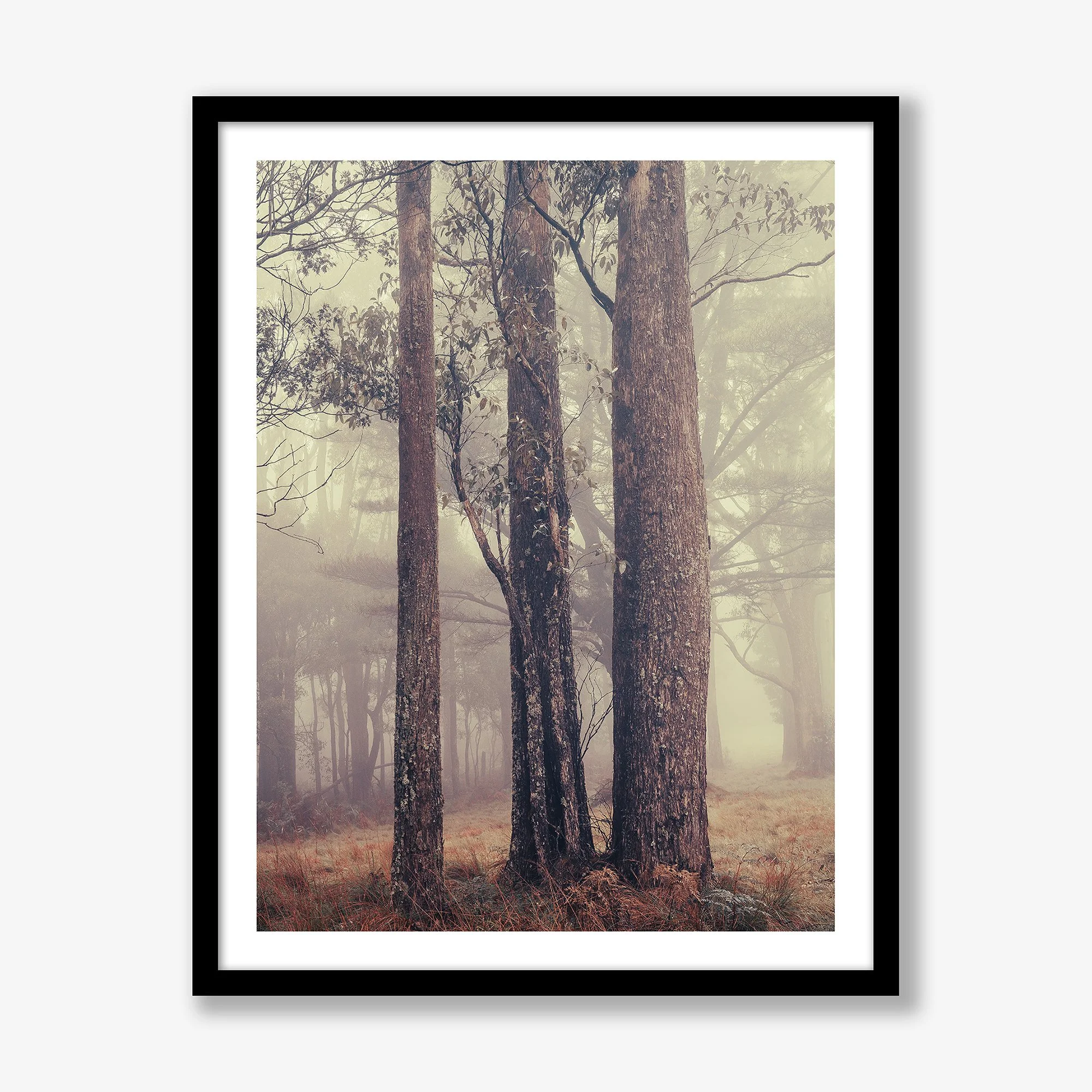 trees-in-fog-no2-vert-black.jpg