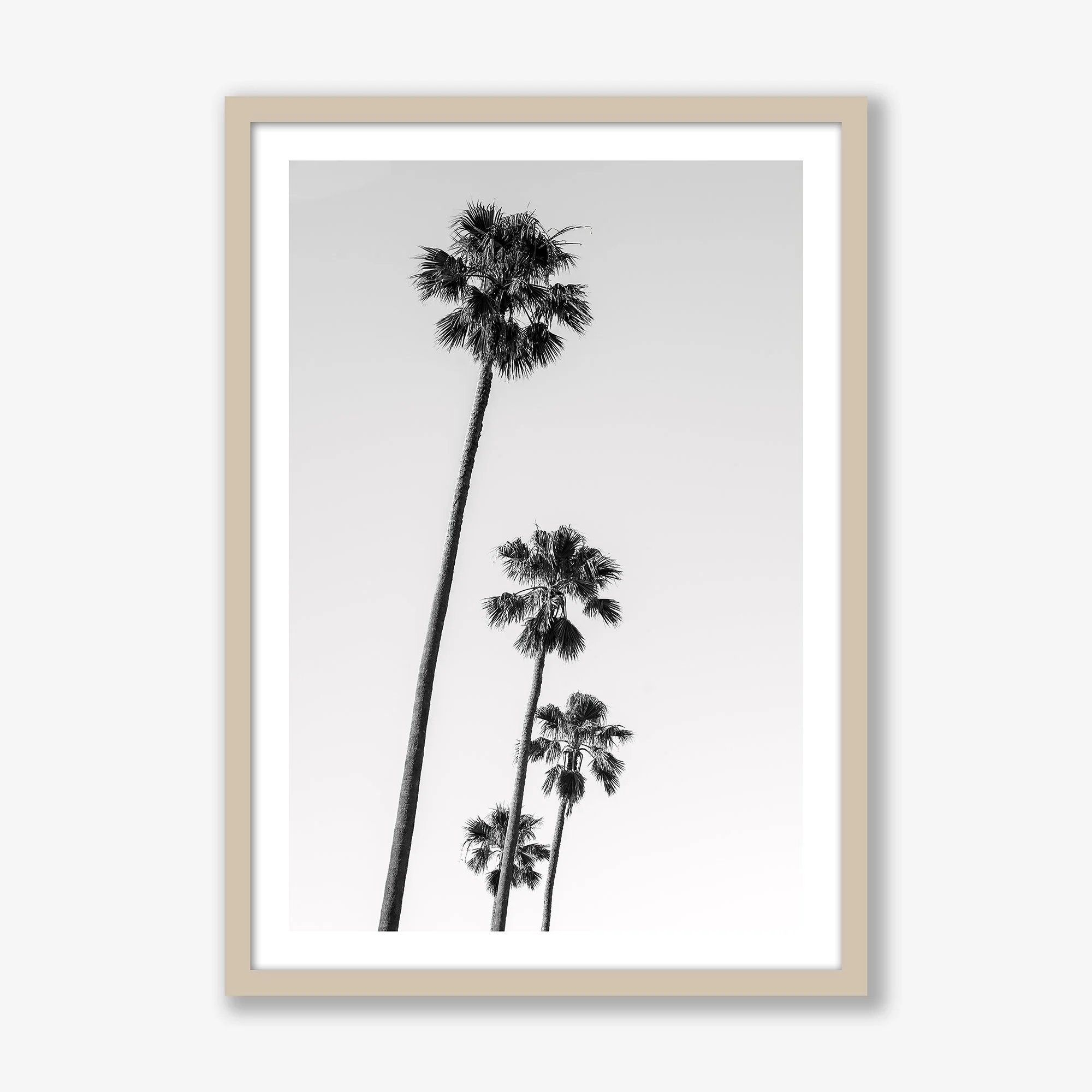 four-palms-oak.jpg