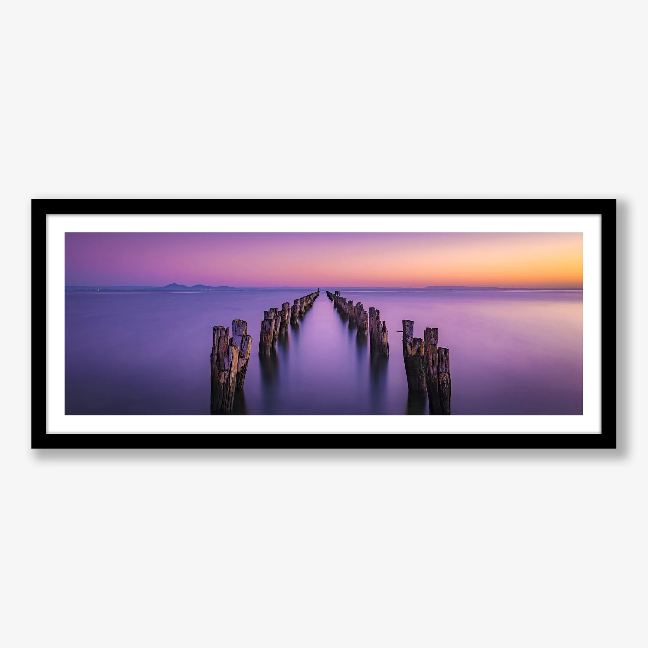 dawns-blush-black.jpg