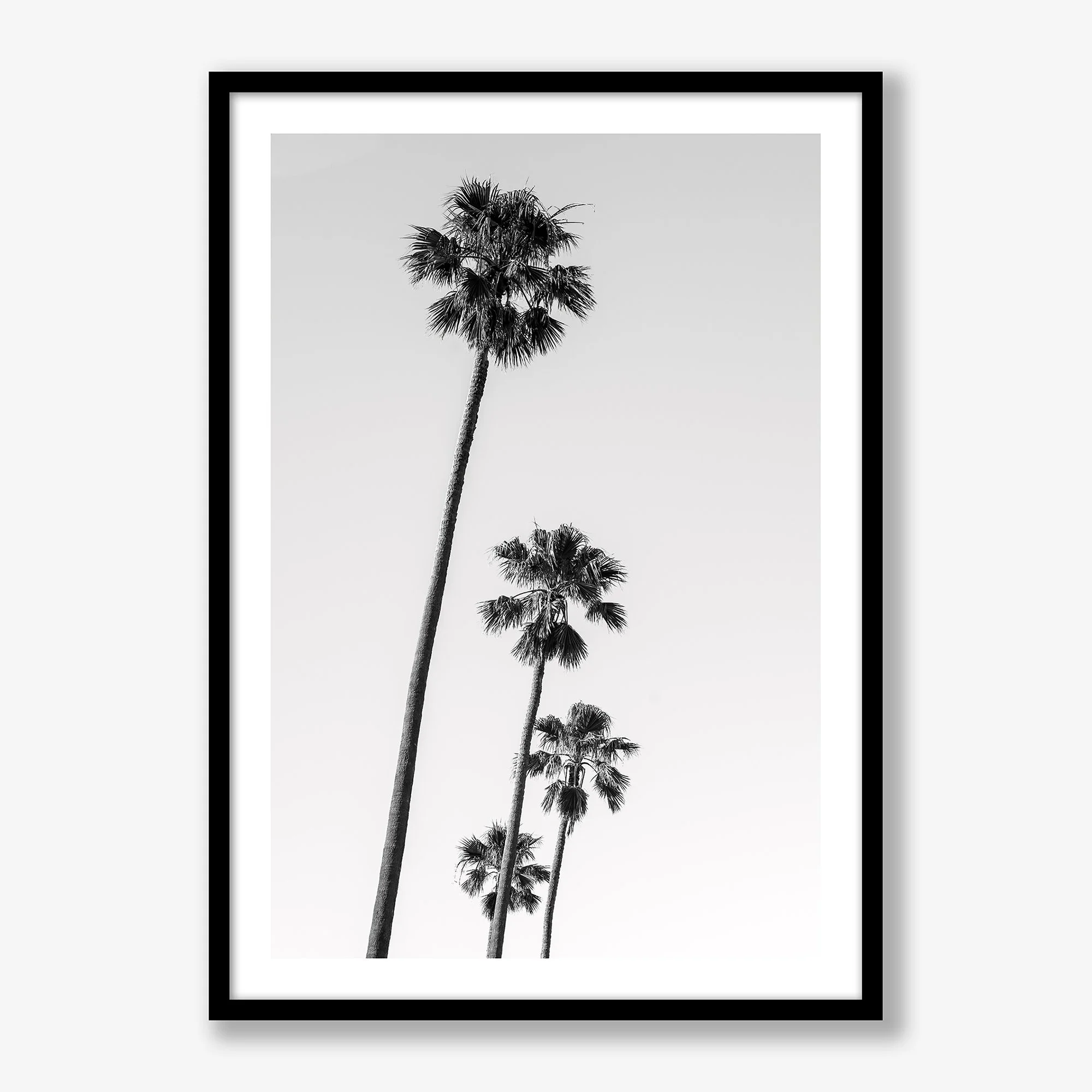 st-kilda-palms-no4-black.jpg