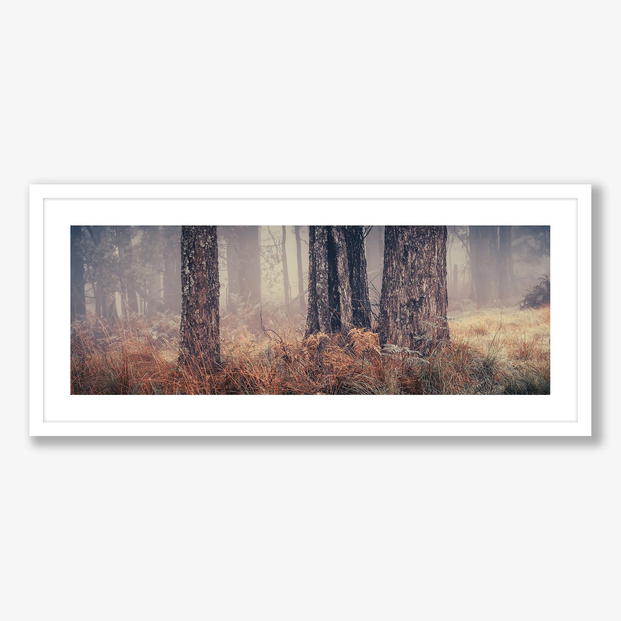 trees-in-fog-no3-white.jpg