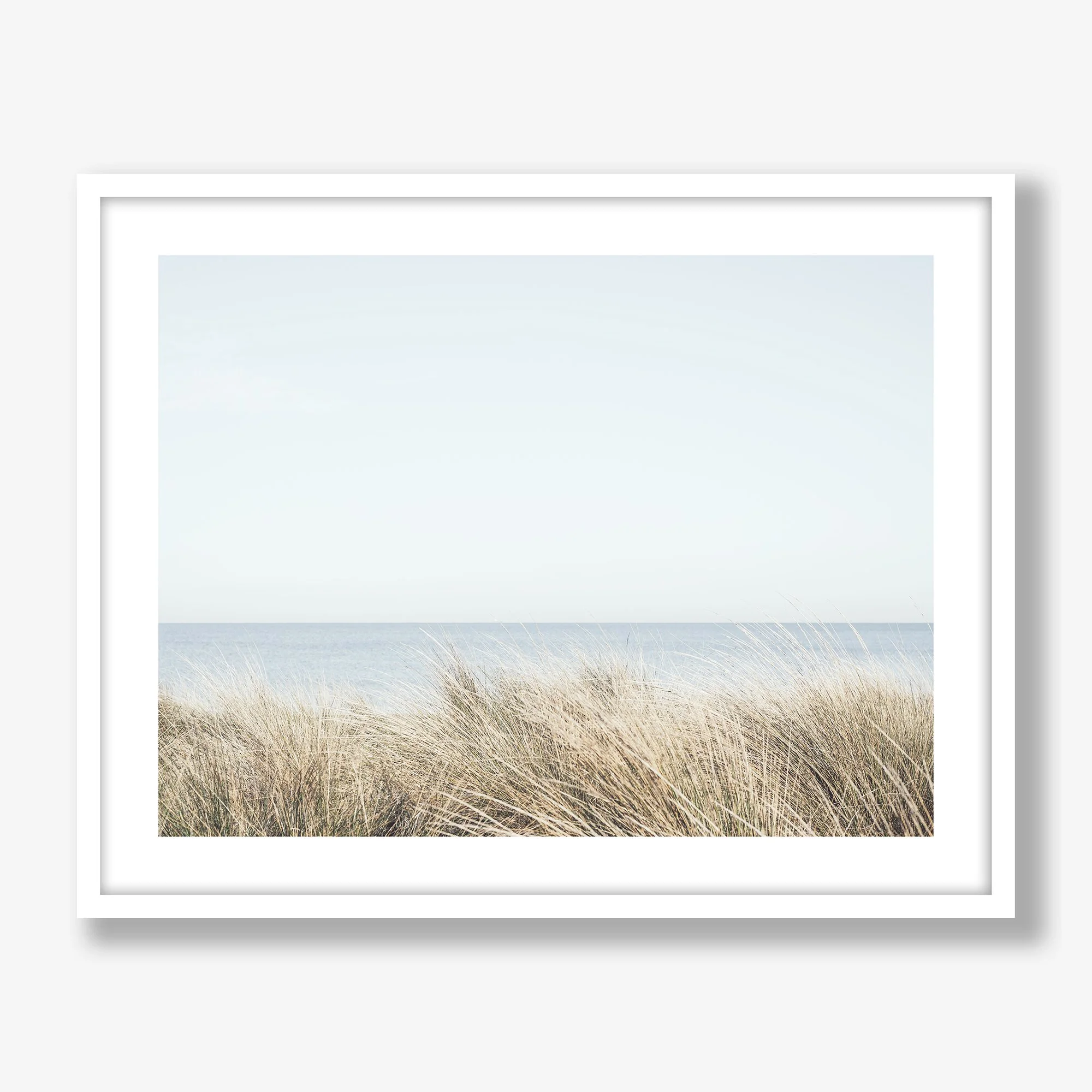 seagrasses-white.jpg