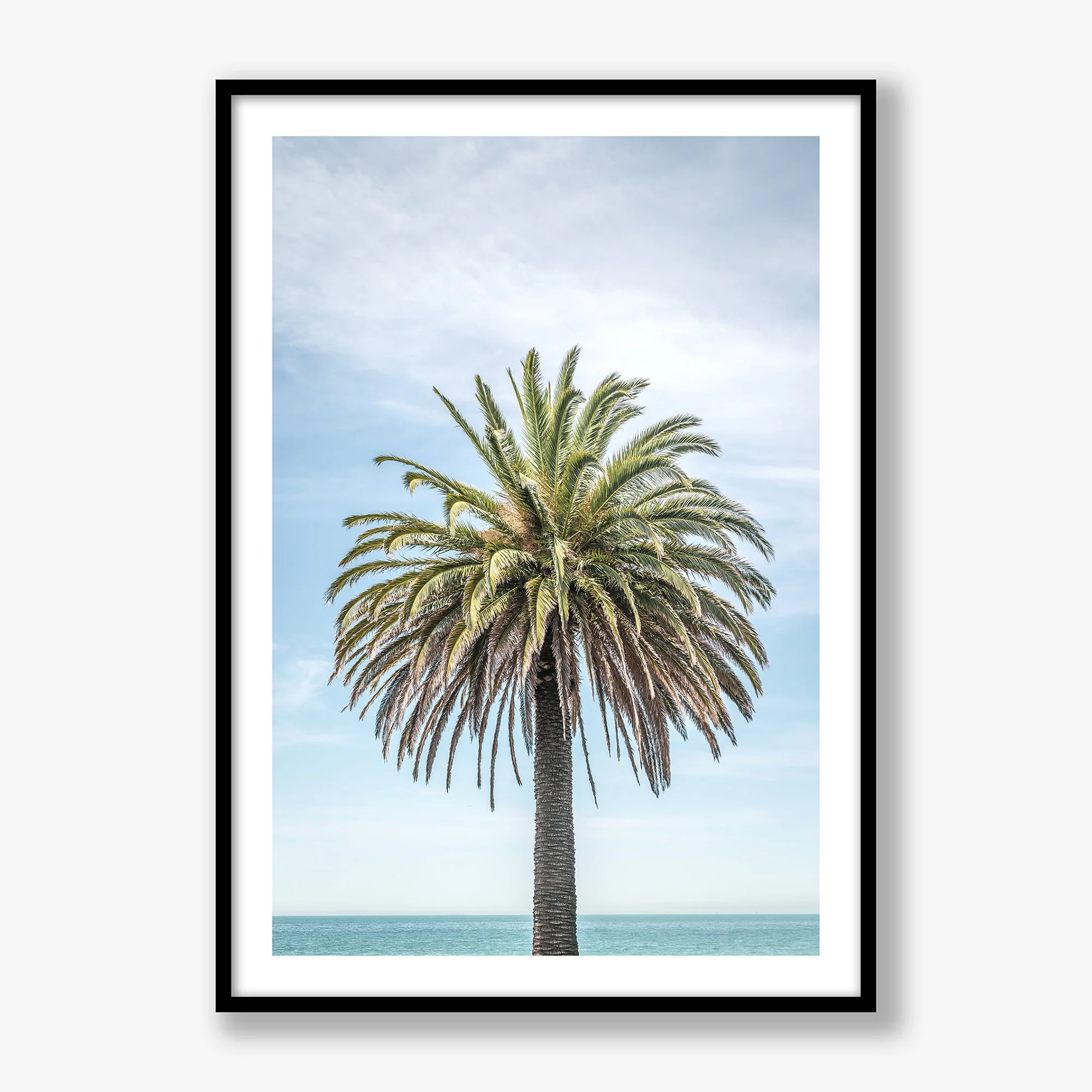 palm-tree-no2-black.jpg