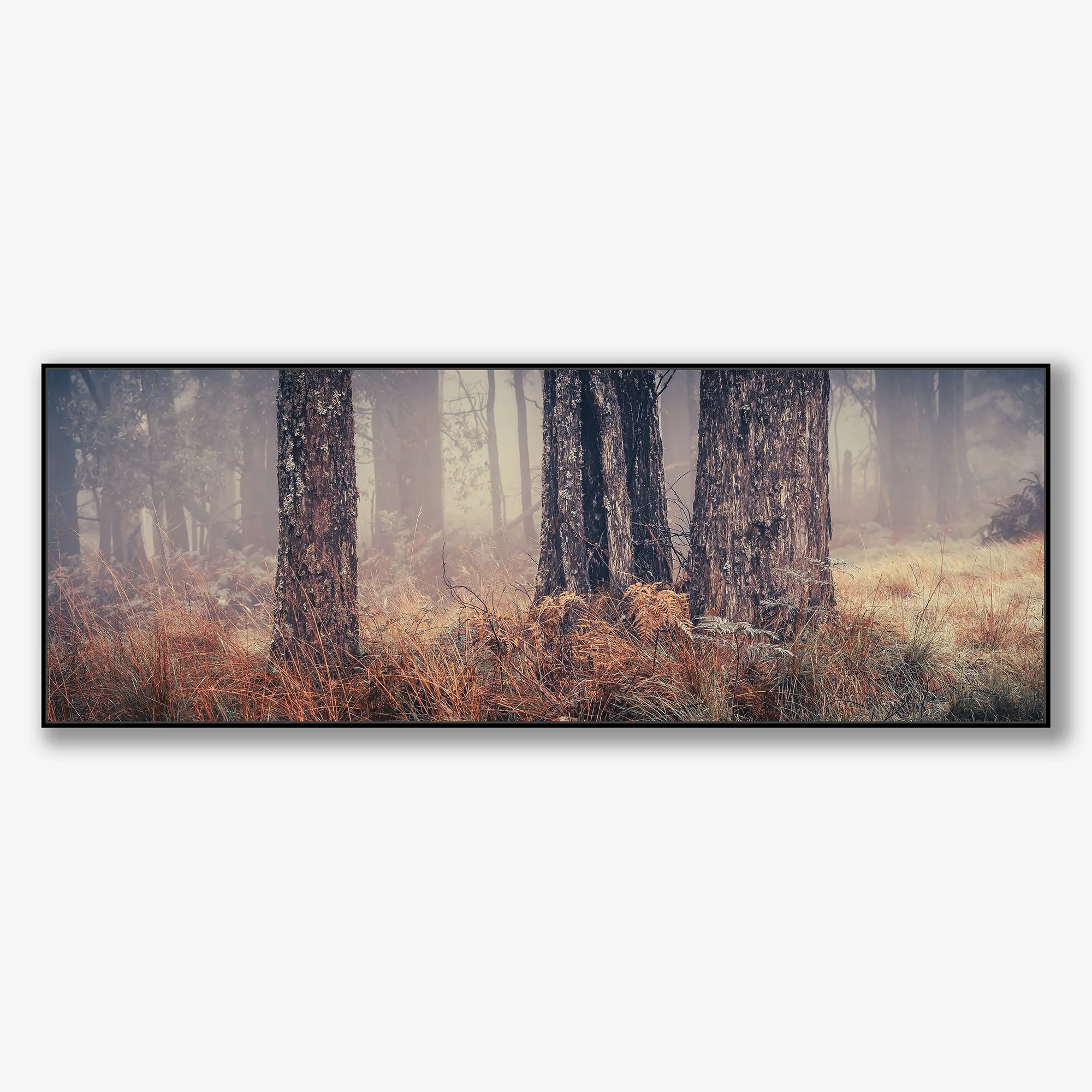 trees-in-fog-no3-canvas-black.jpg