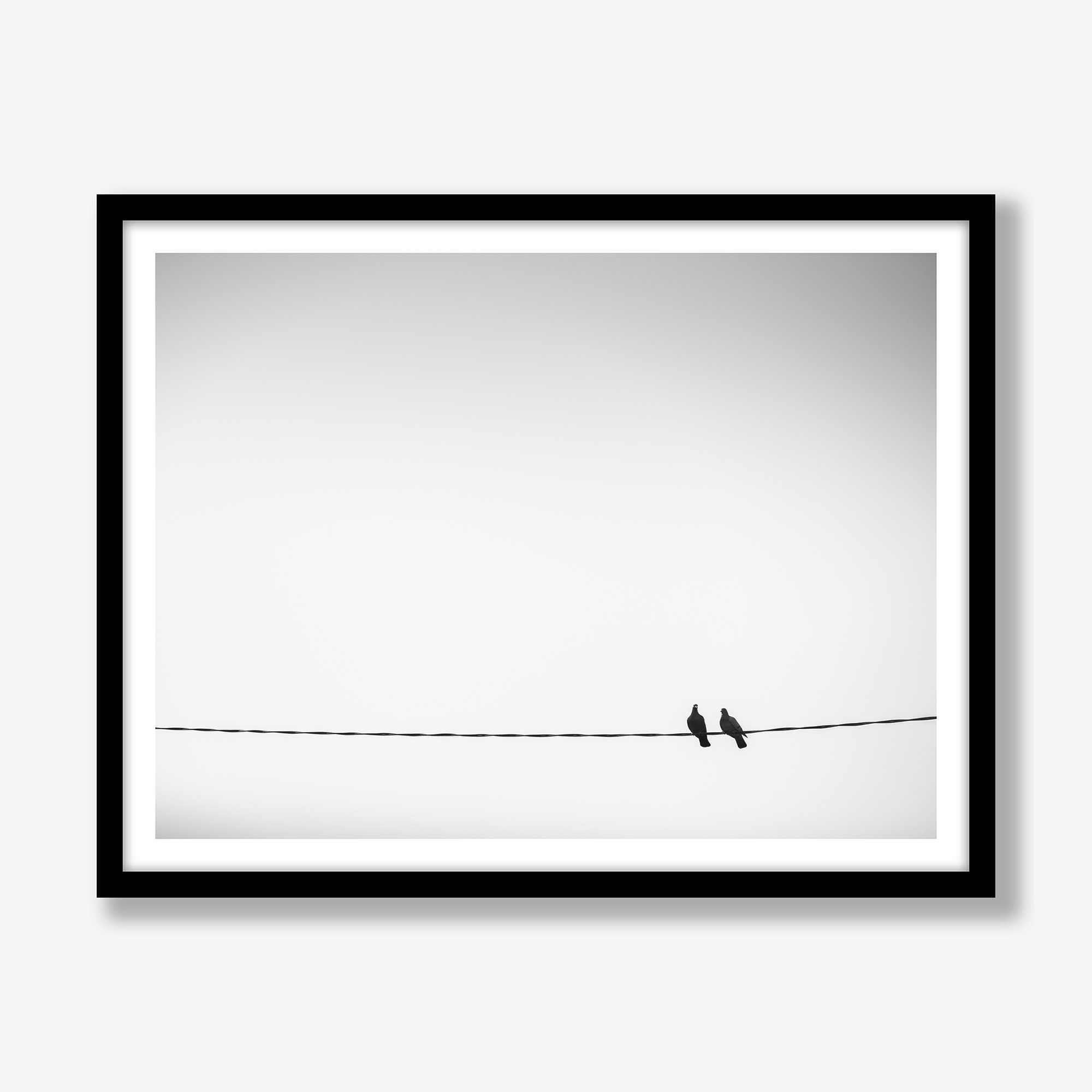 two-birds-on-a-wire-4x3-black.jpg