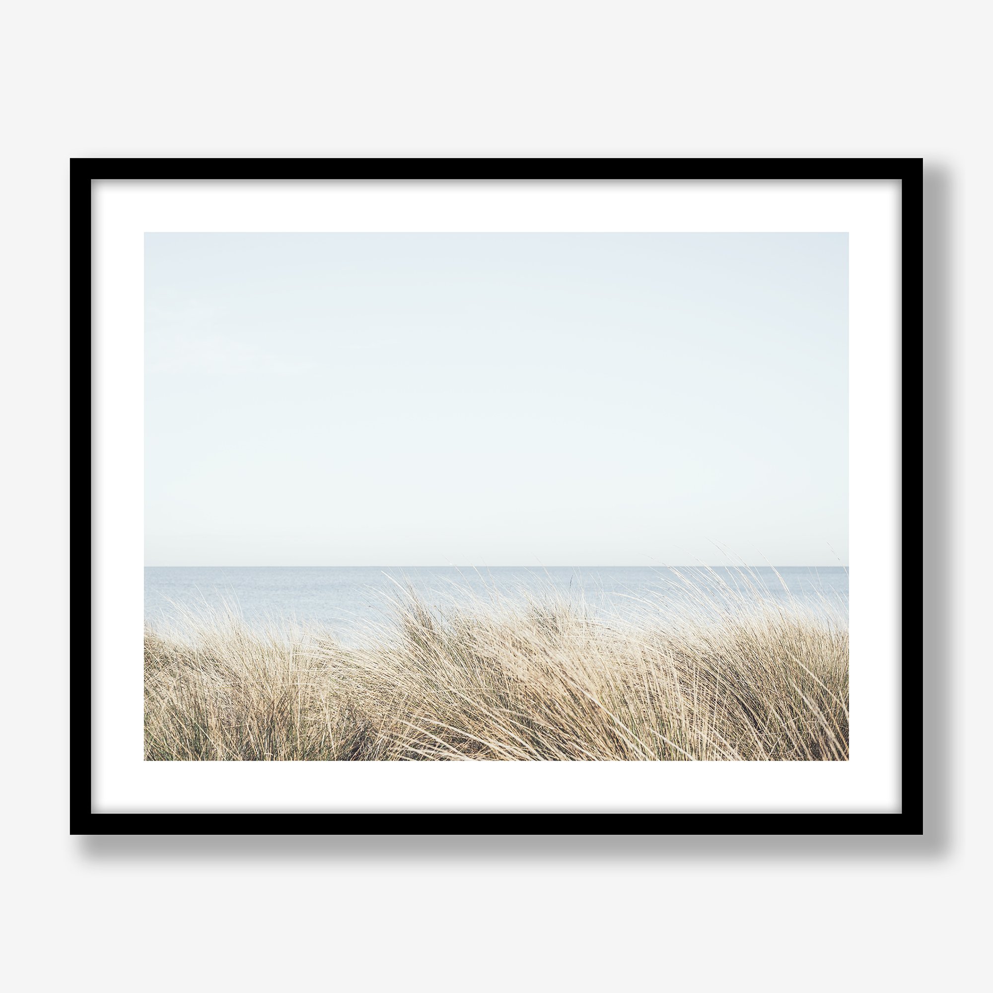 seagrasses-black.jpg