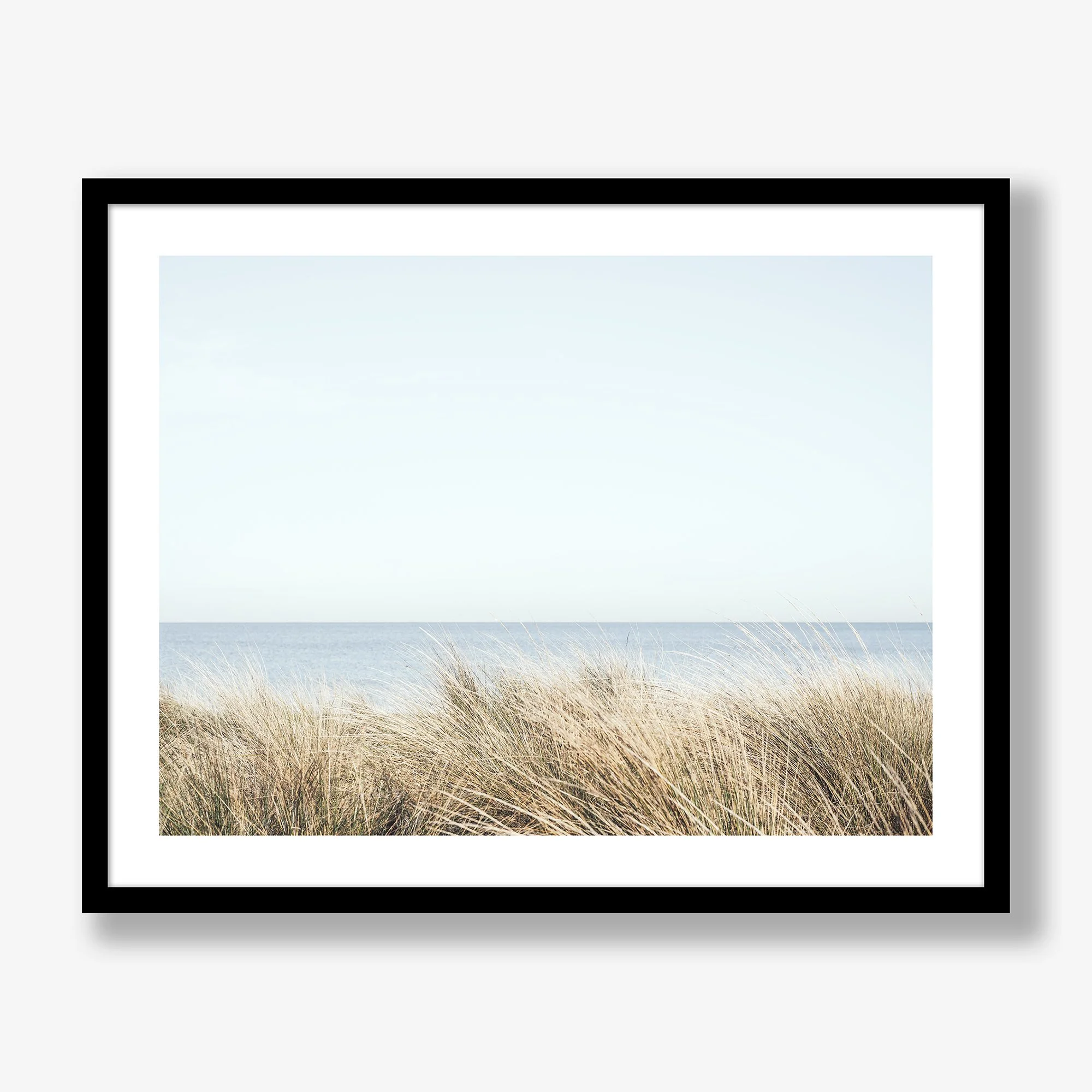 seaside-grasses-black.jpg