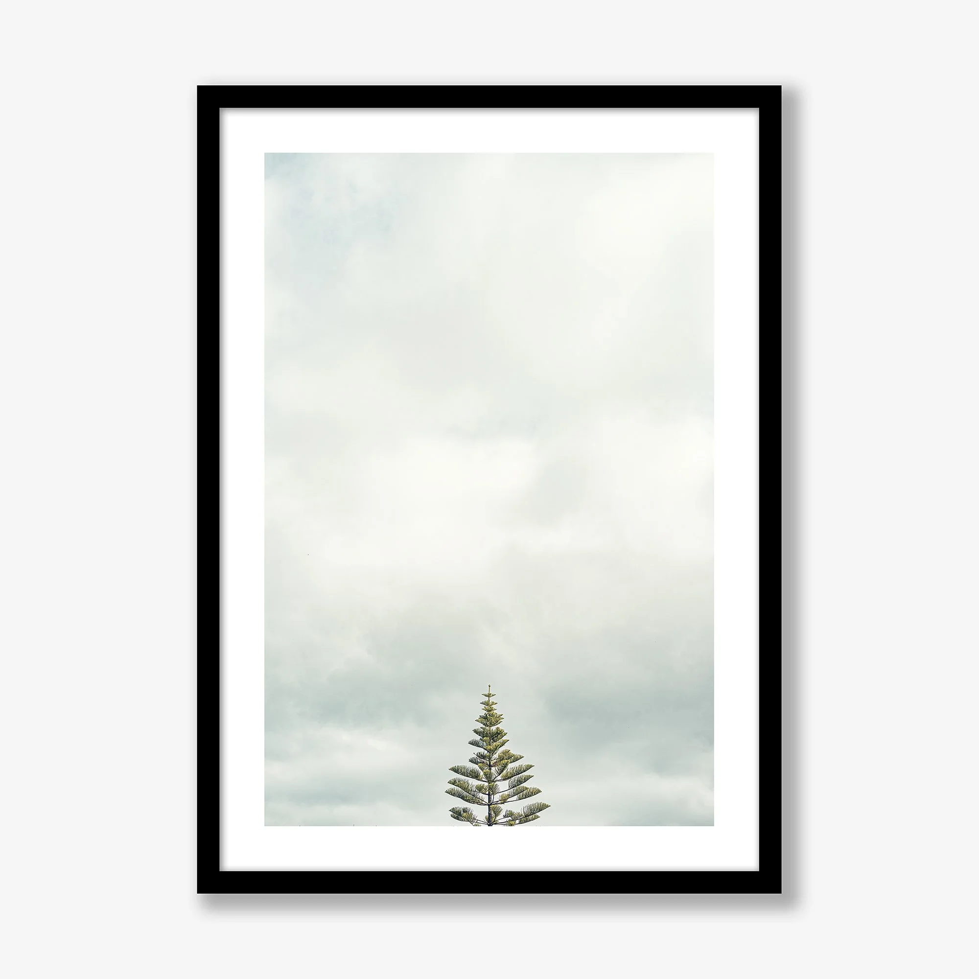 oh-christmas-tree-black.jpg