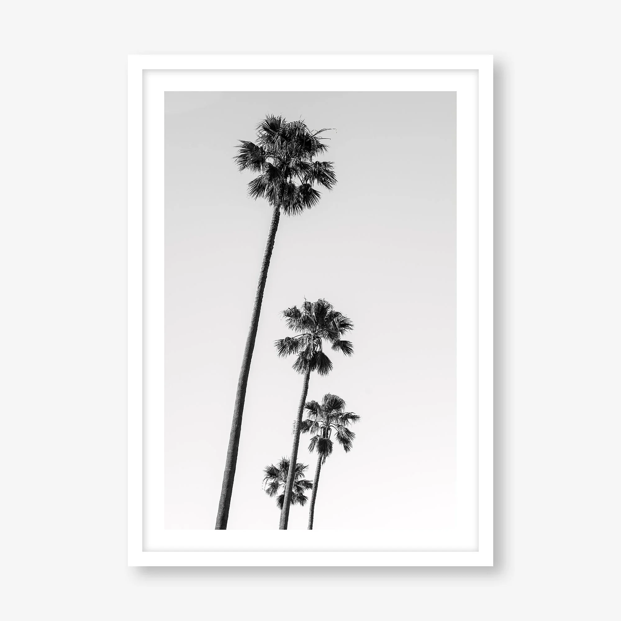 FOUR PALMS (ST. KILDA)