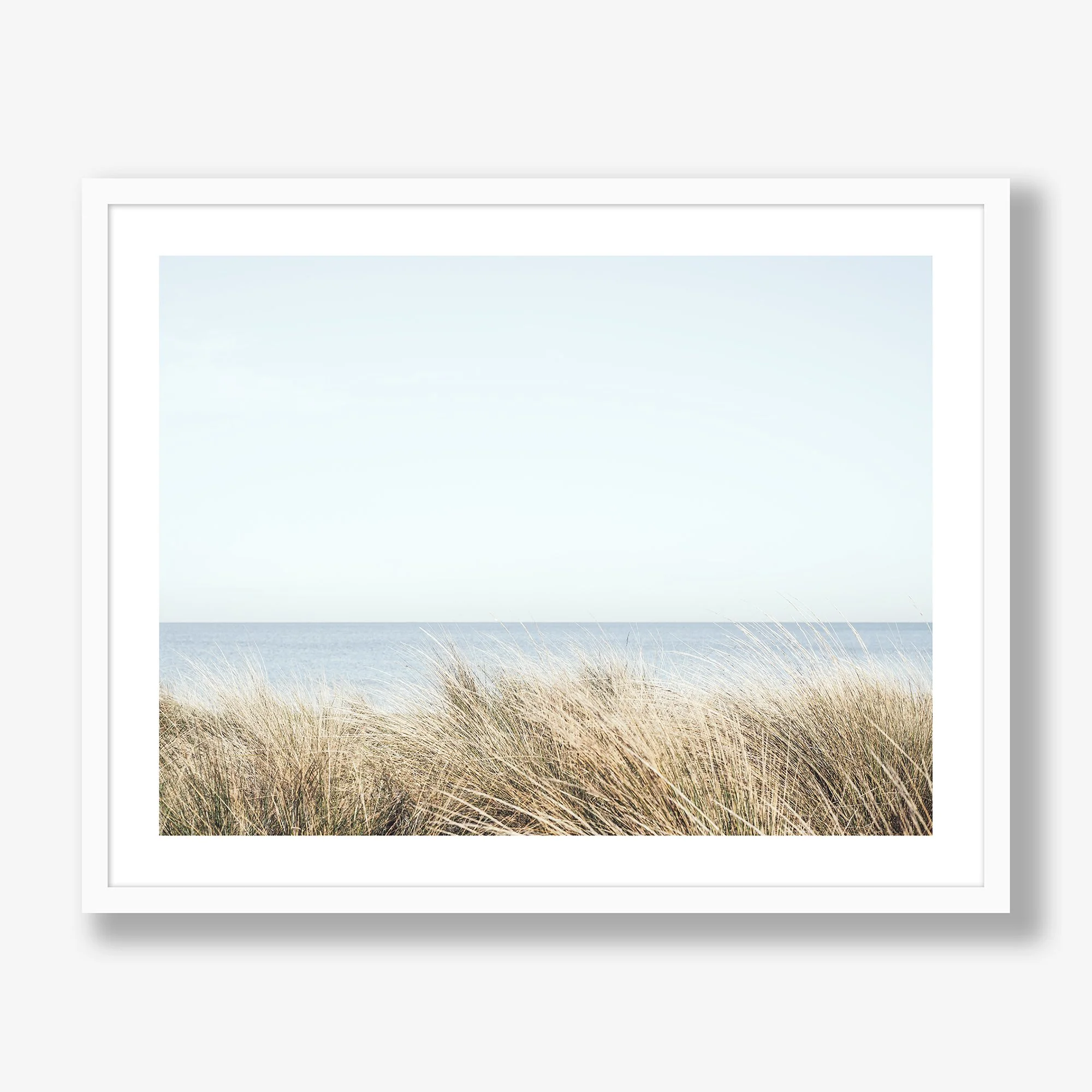 seaside-grasses-white.jpg