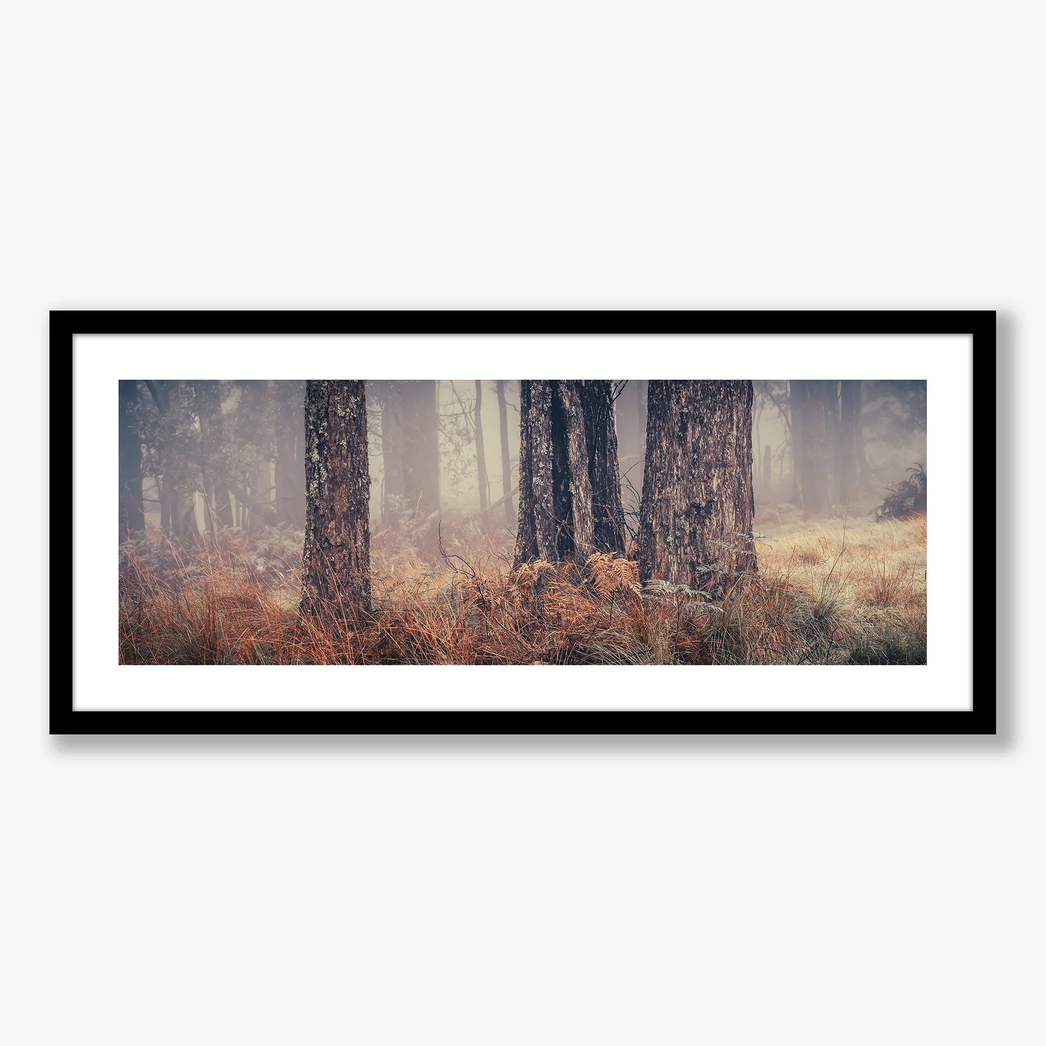 trees-in-fog-no3-black.jpg