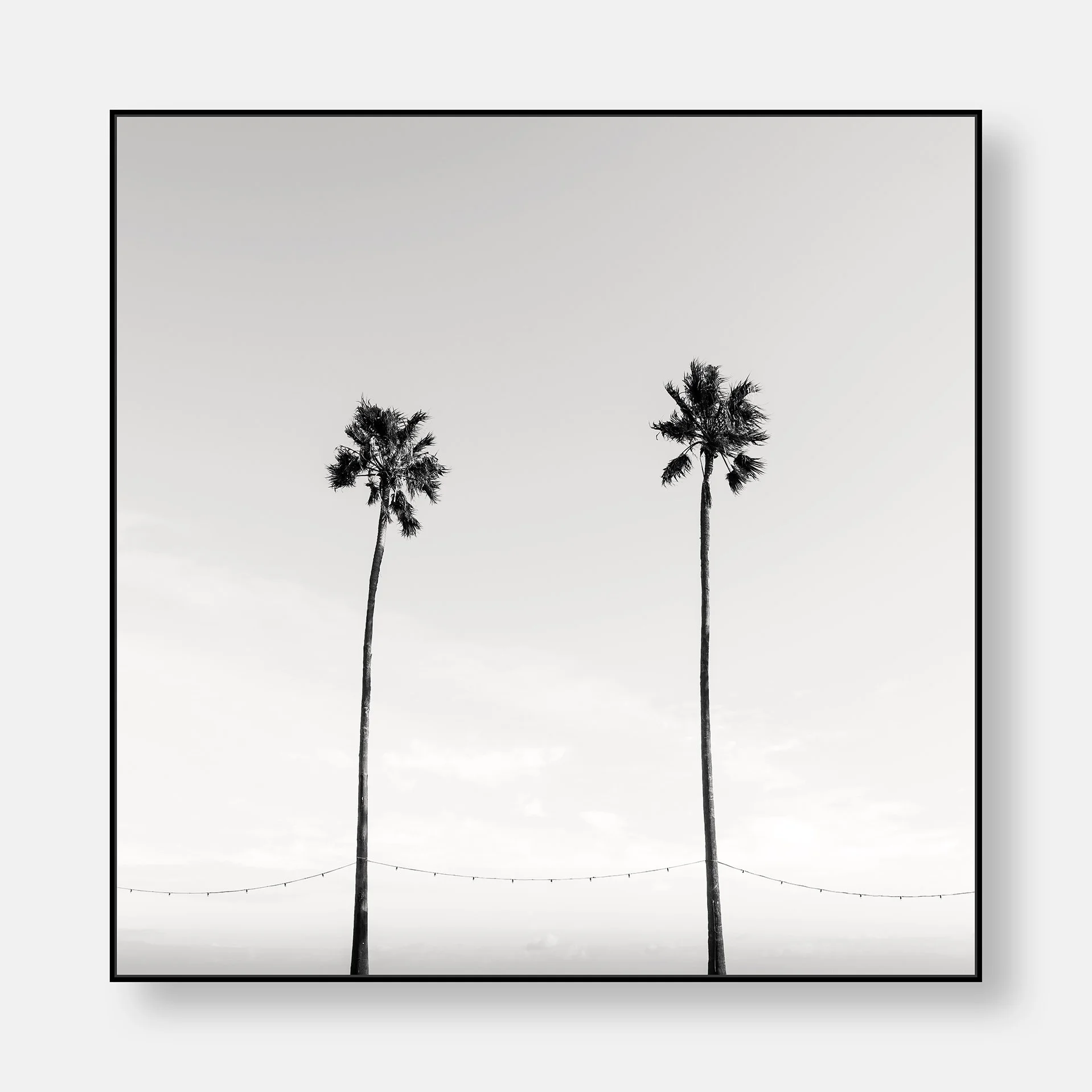 two-palms-canvas-black.jpg