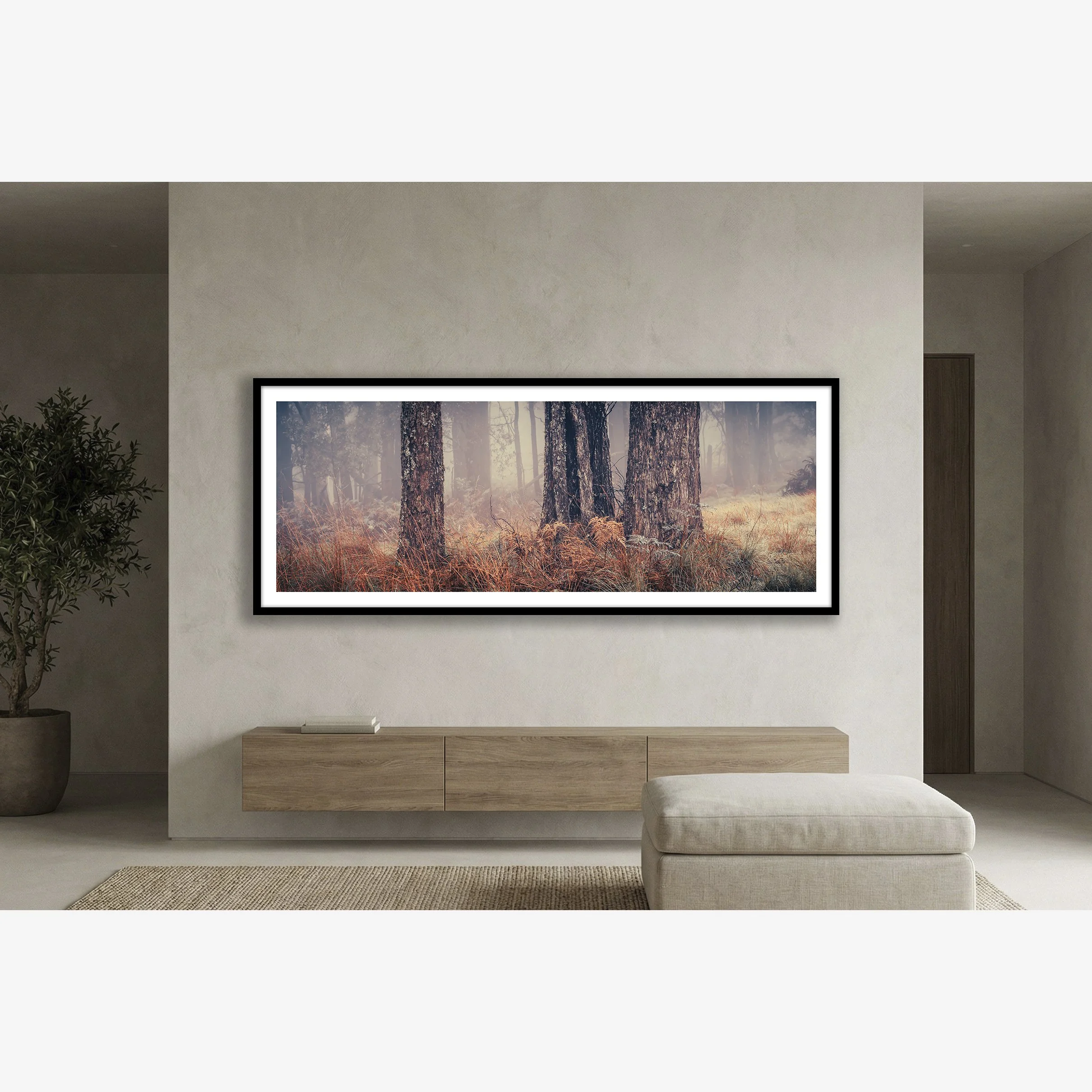trees-in-fog-no3-insitu.jpg