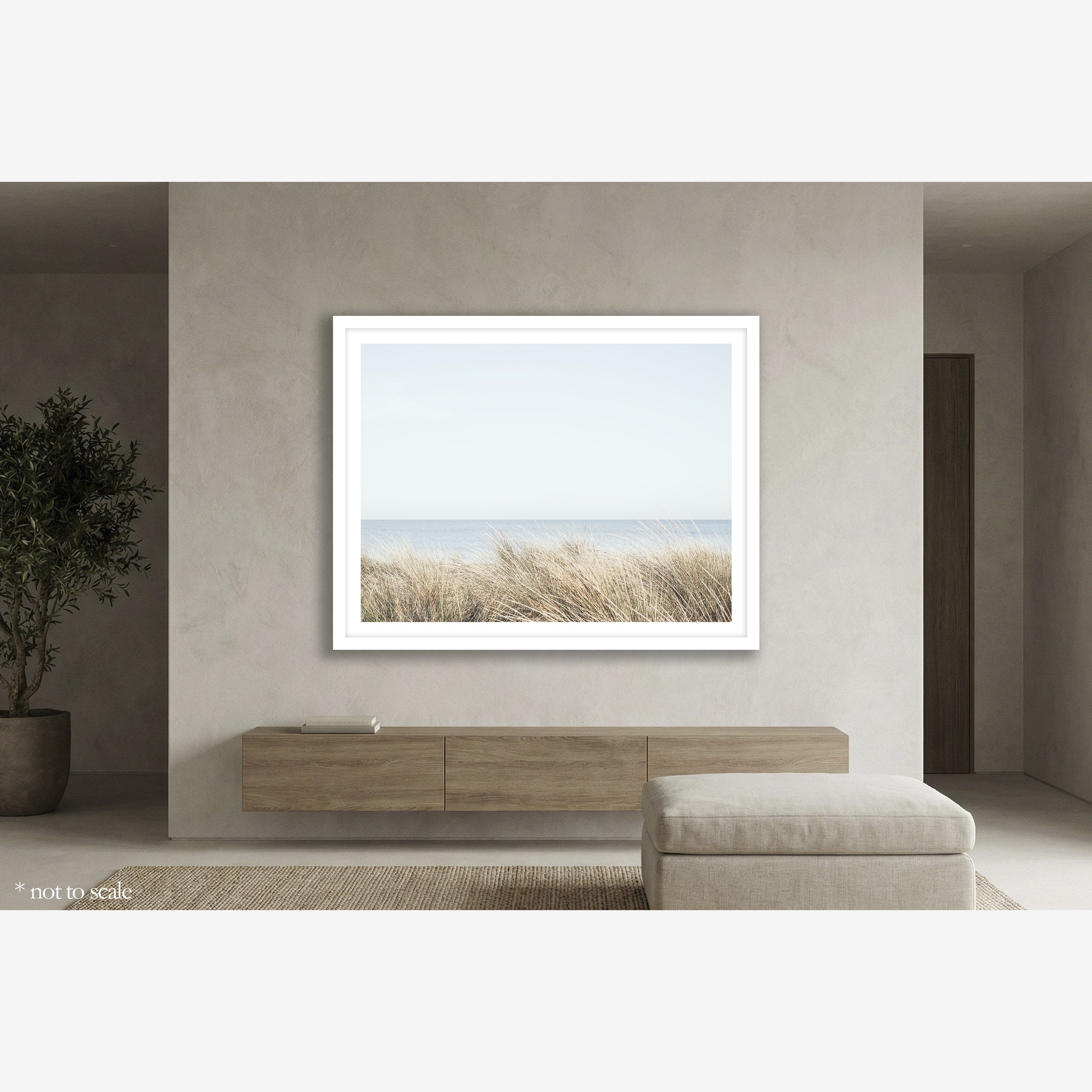 seagrasses-south-melbourne-insitu.jpg