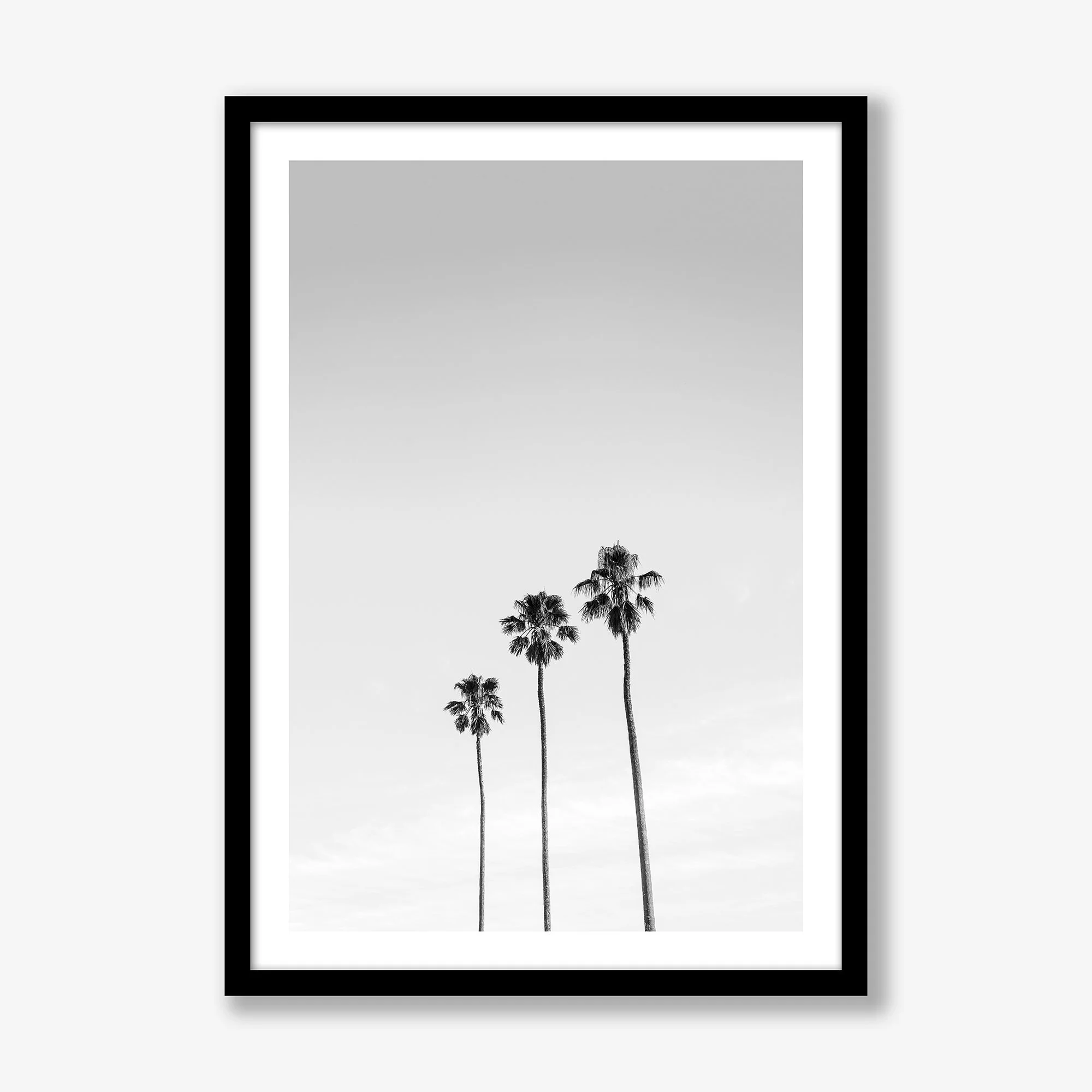 three-palms-vert-black.jpg