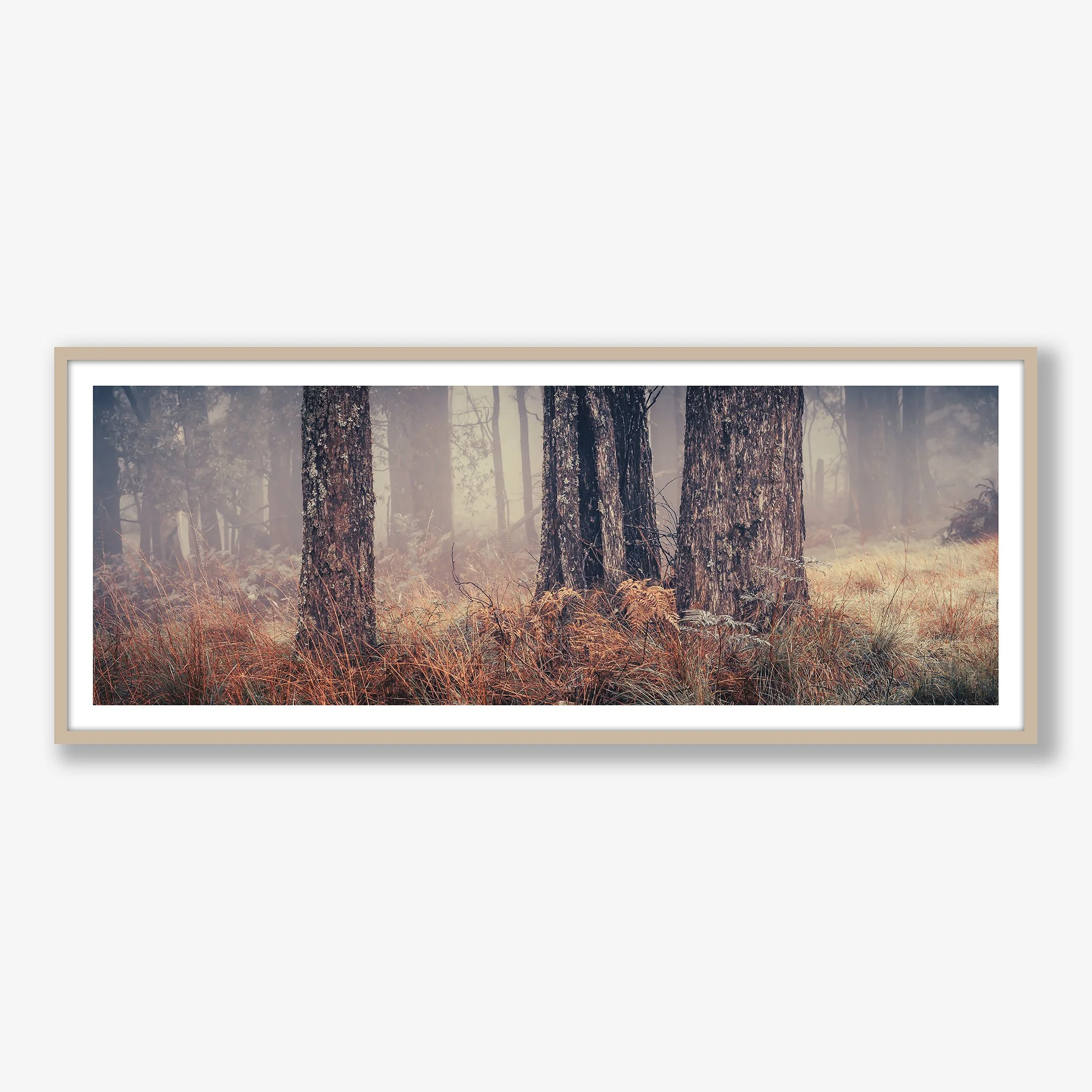 trees-in-fog-no3-oak.jpg