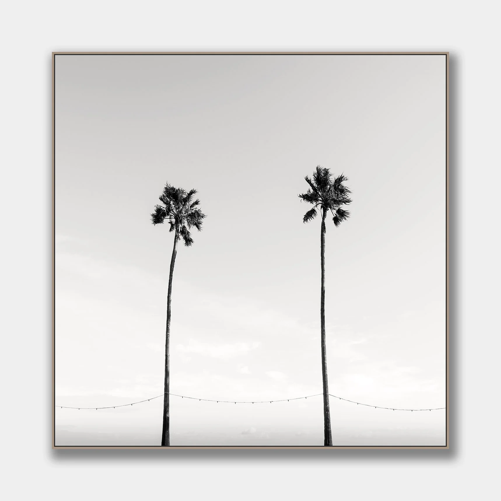 two-palms-canvas-natural.jpg