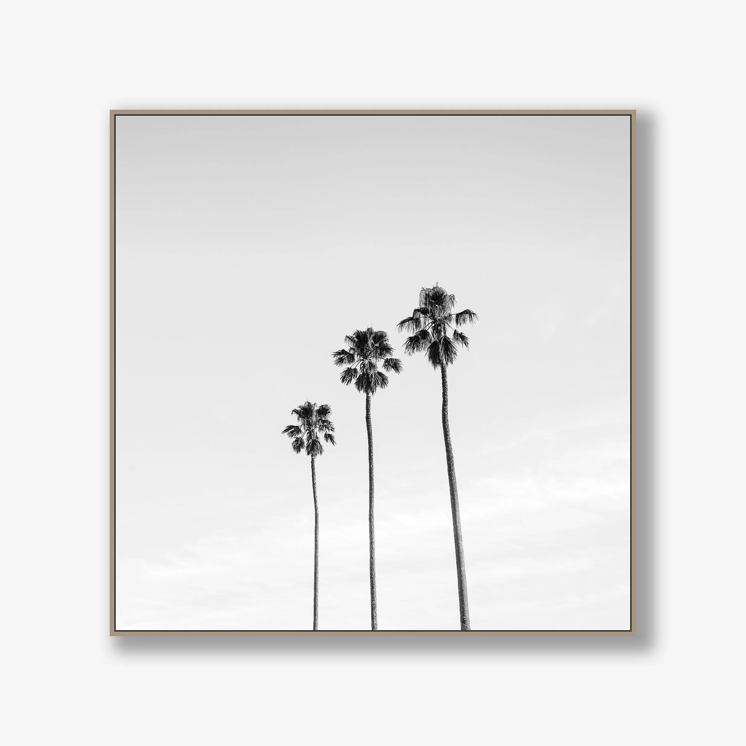 three-palms-canvas-oak.jpg