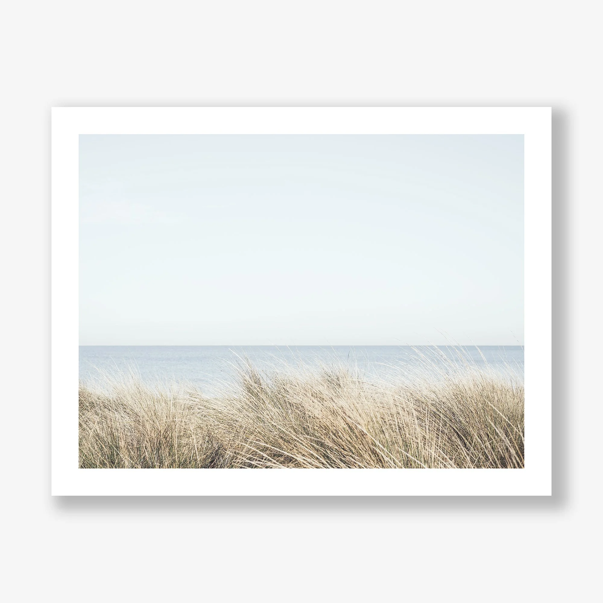 seagrasses-print.jpg