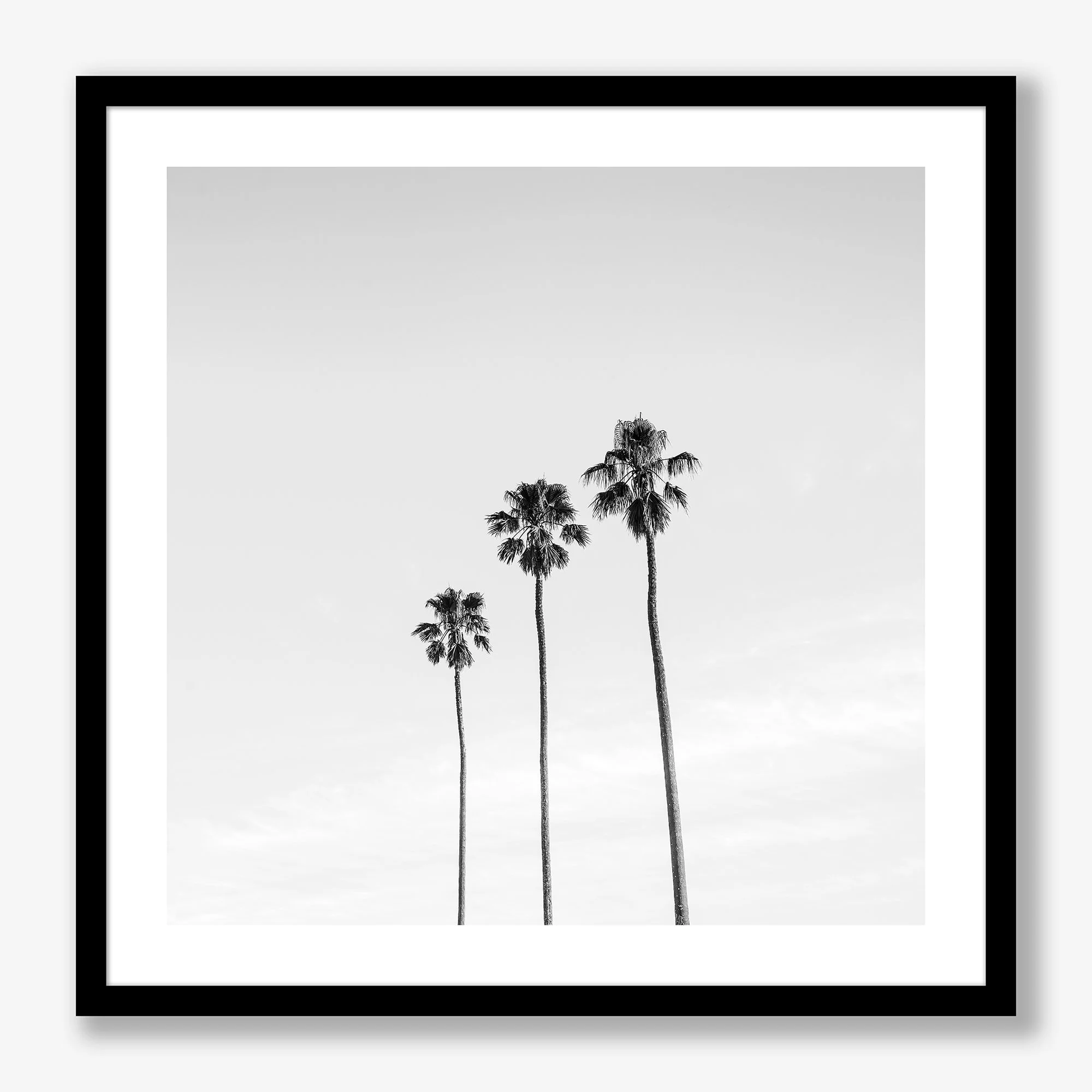 three-palms-black-ff.jpg (Copy)
