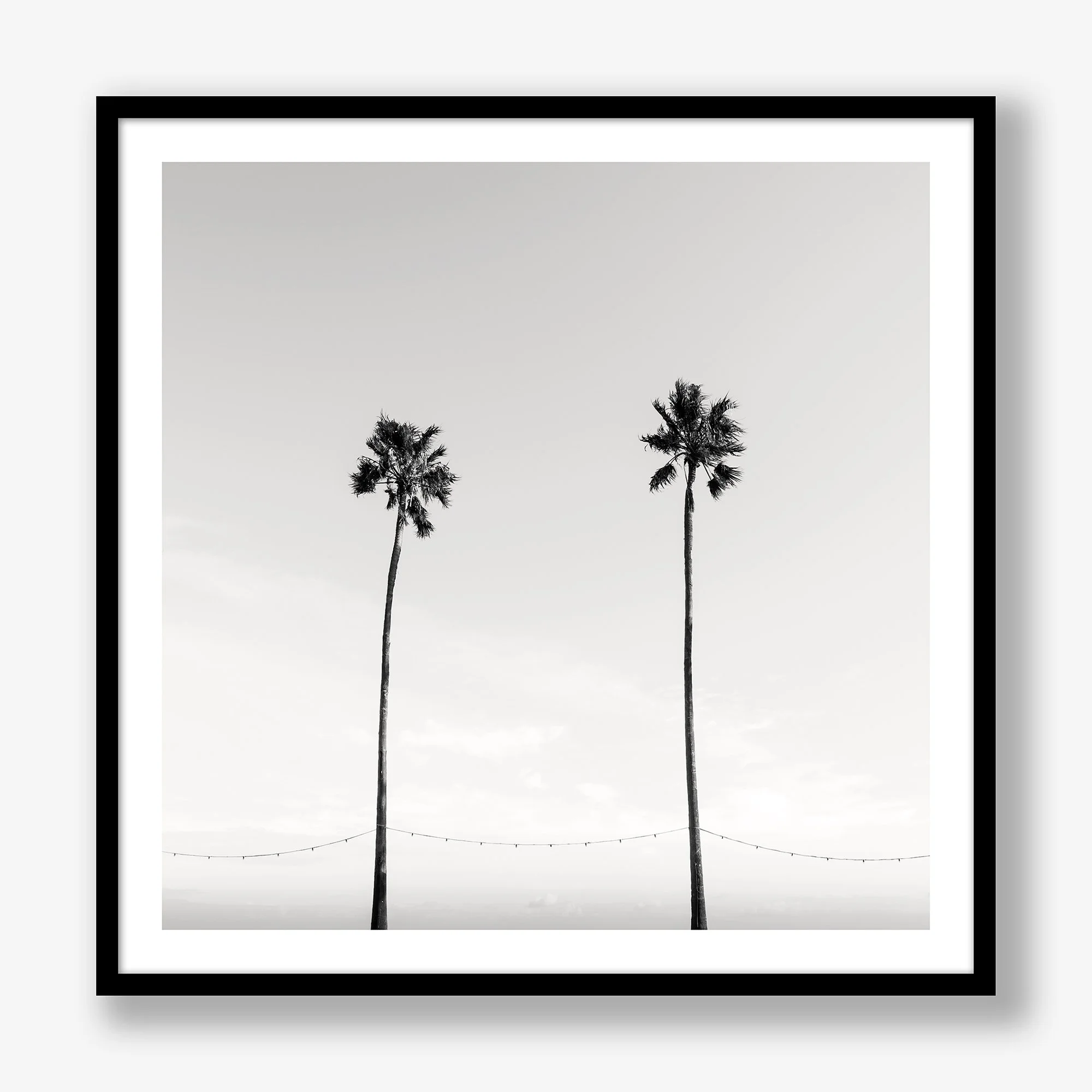 two-palms-black.jpg