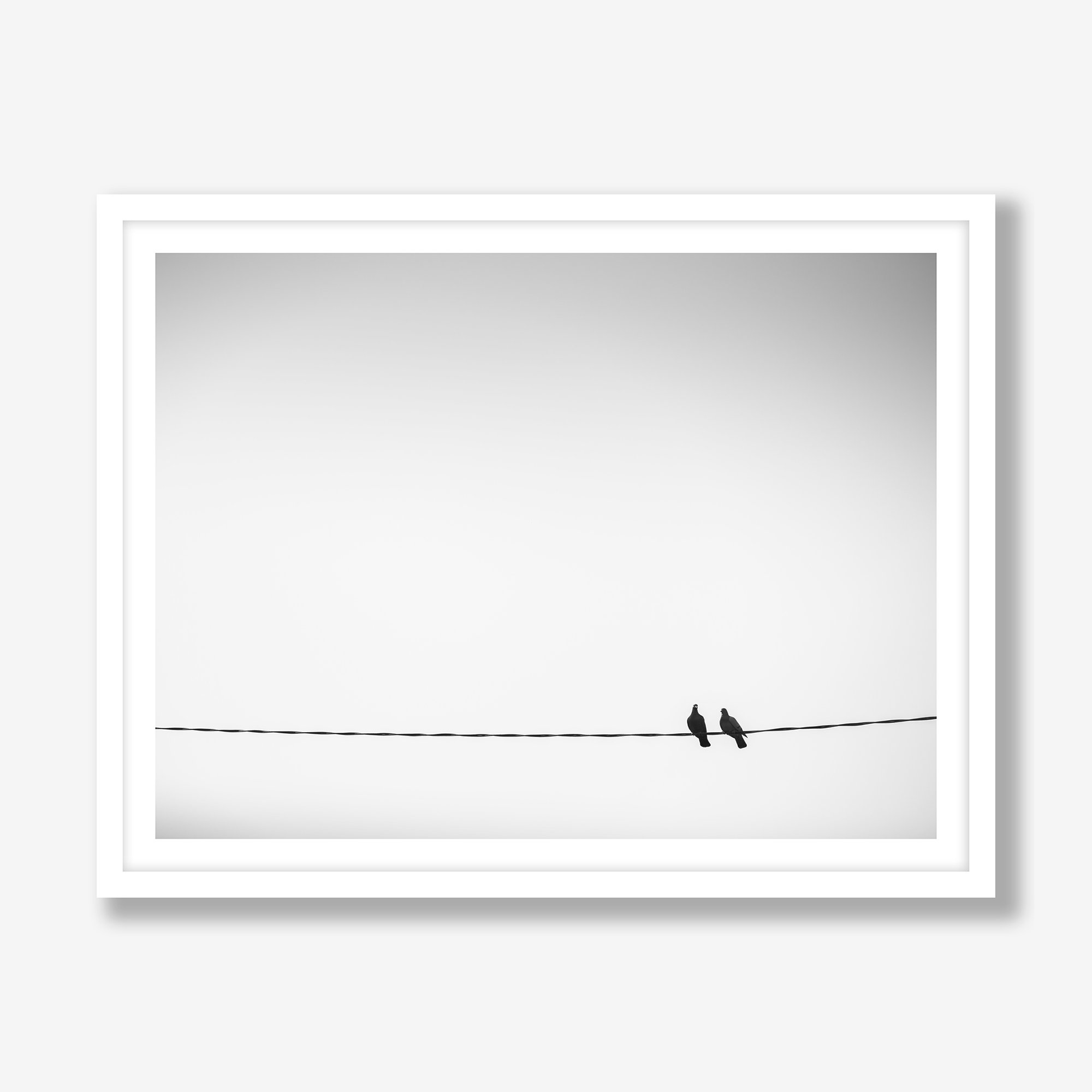 two-birds-on-a-wire-4x3-white.jpg