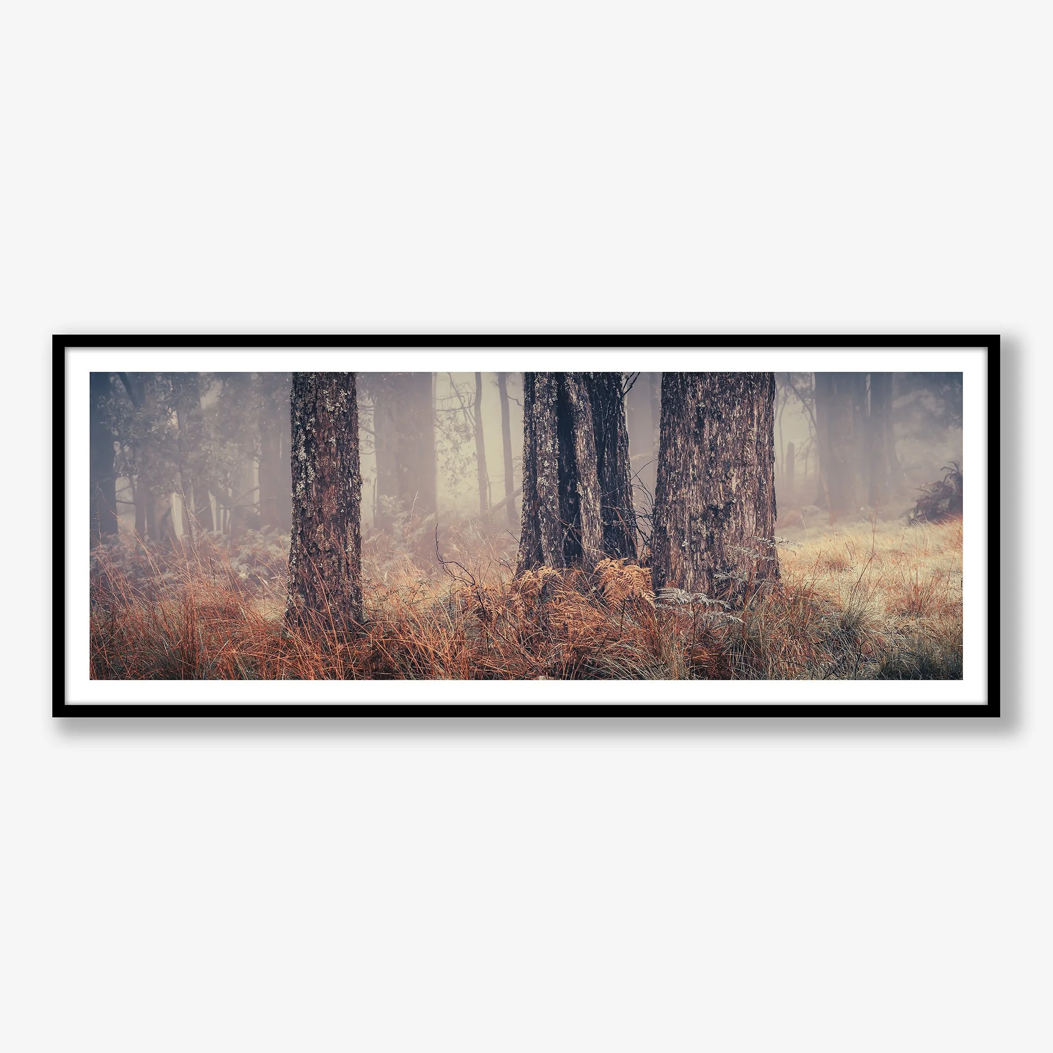 trees-in-fog-no3-black.jpg
