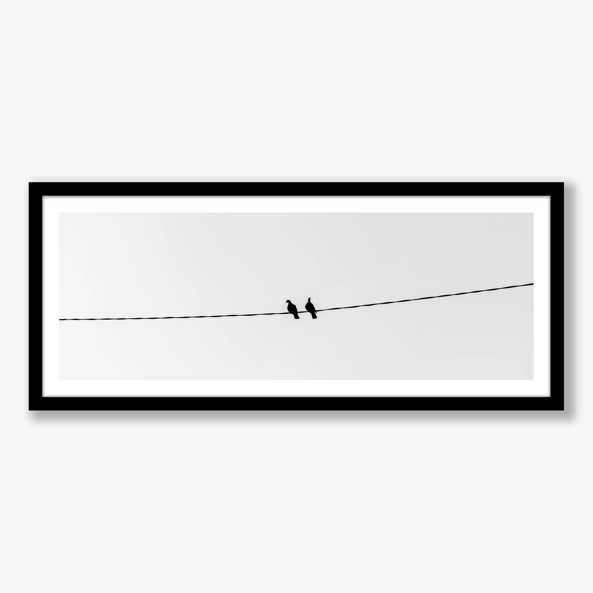 two-birds-on-a-wire-pano-black.jpg