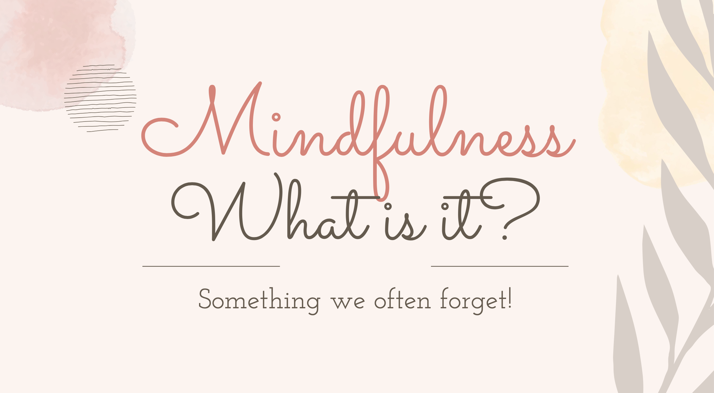 Screen Shot 2024-01-09 at 11.54.13 AM.png