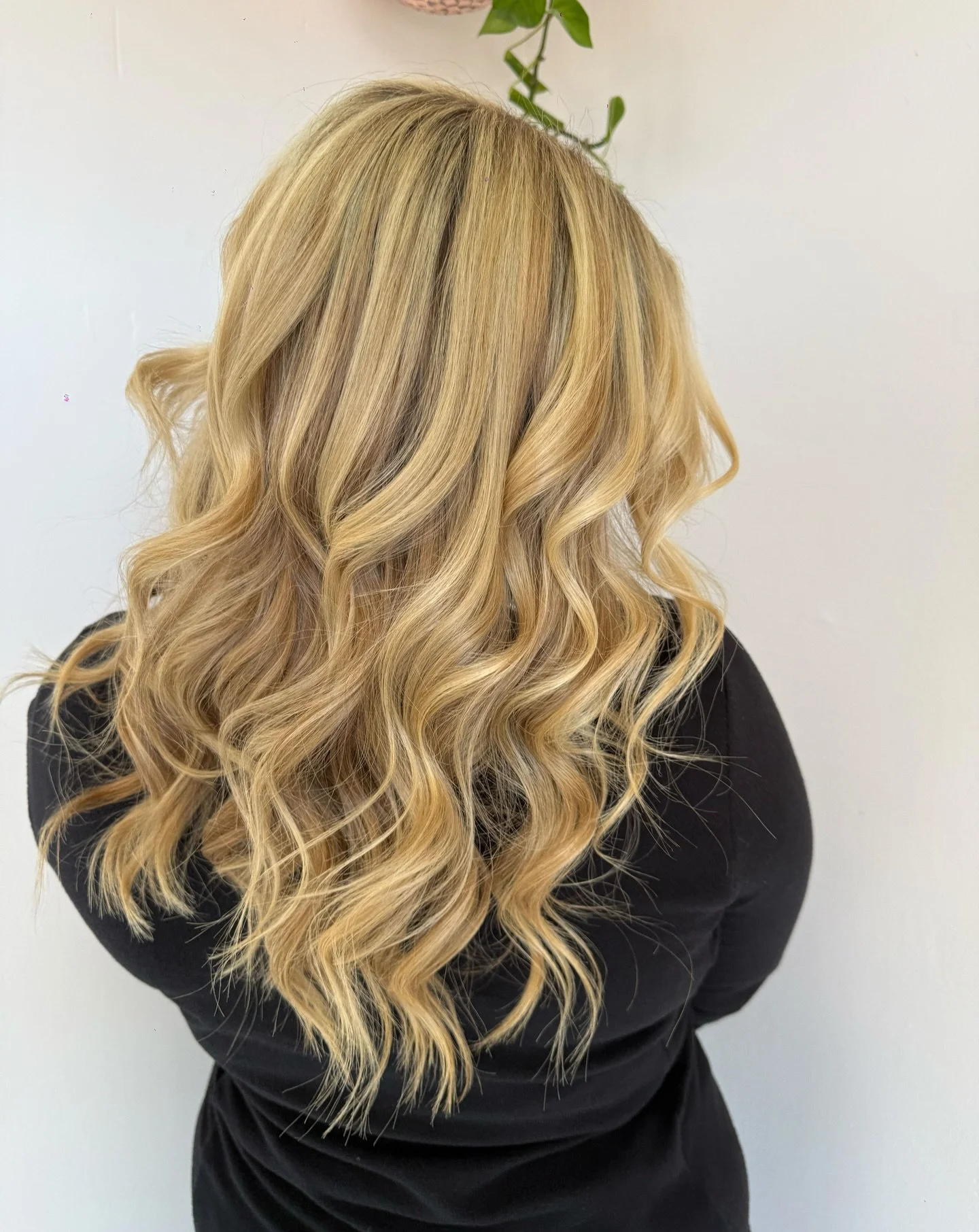 Buttery blonde 🧈👩&zwj;🦳 

@looksby.laina 

DAYTON OHIO HAIR STYLIST | BEAVERCREEK OHIO HAIRSTYLIST