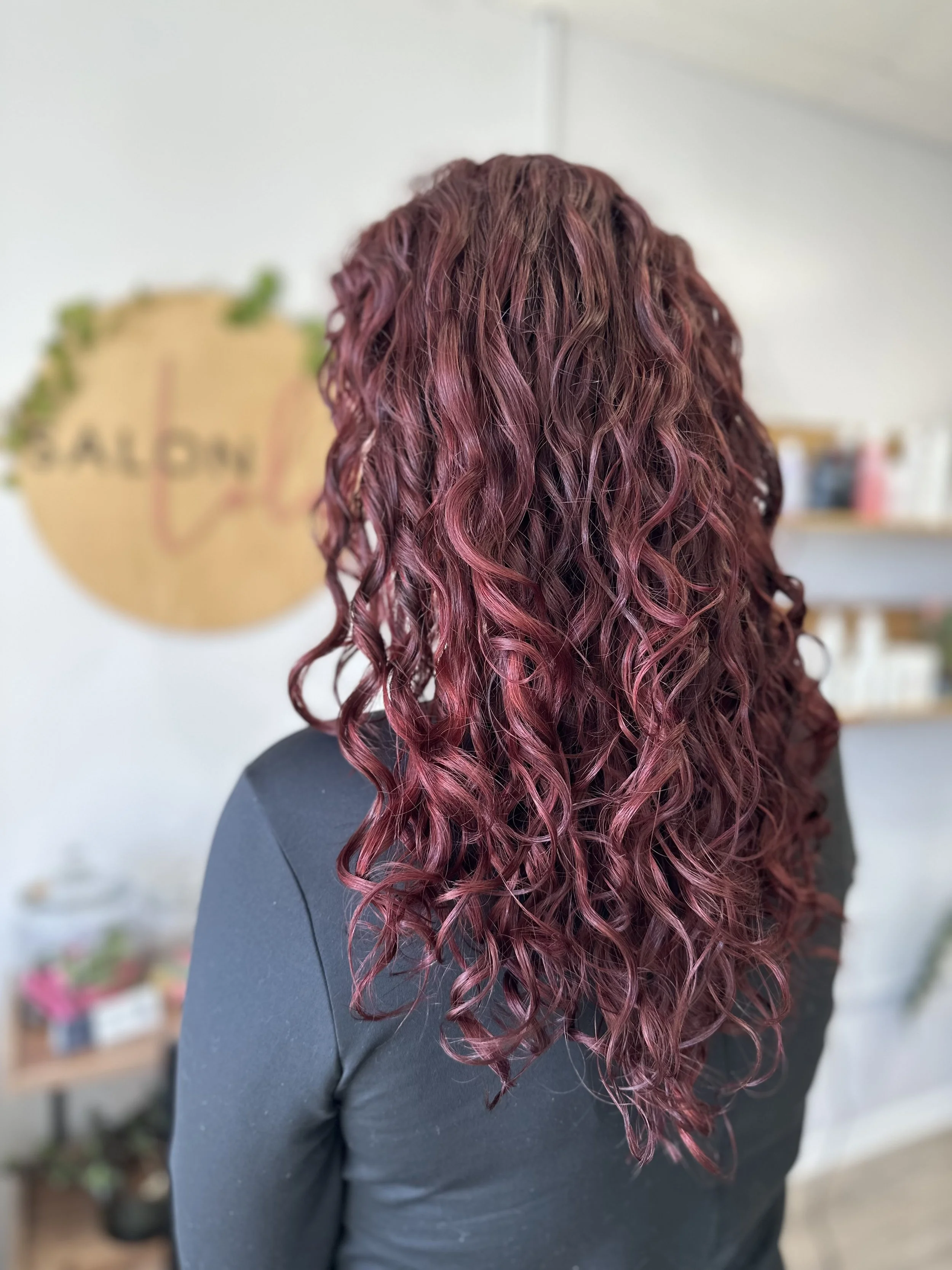Back view of a woman with long, curly, reddish-purple hair in a salon.