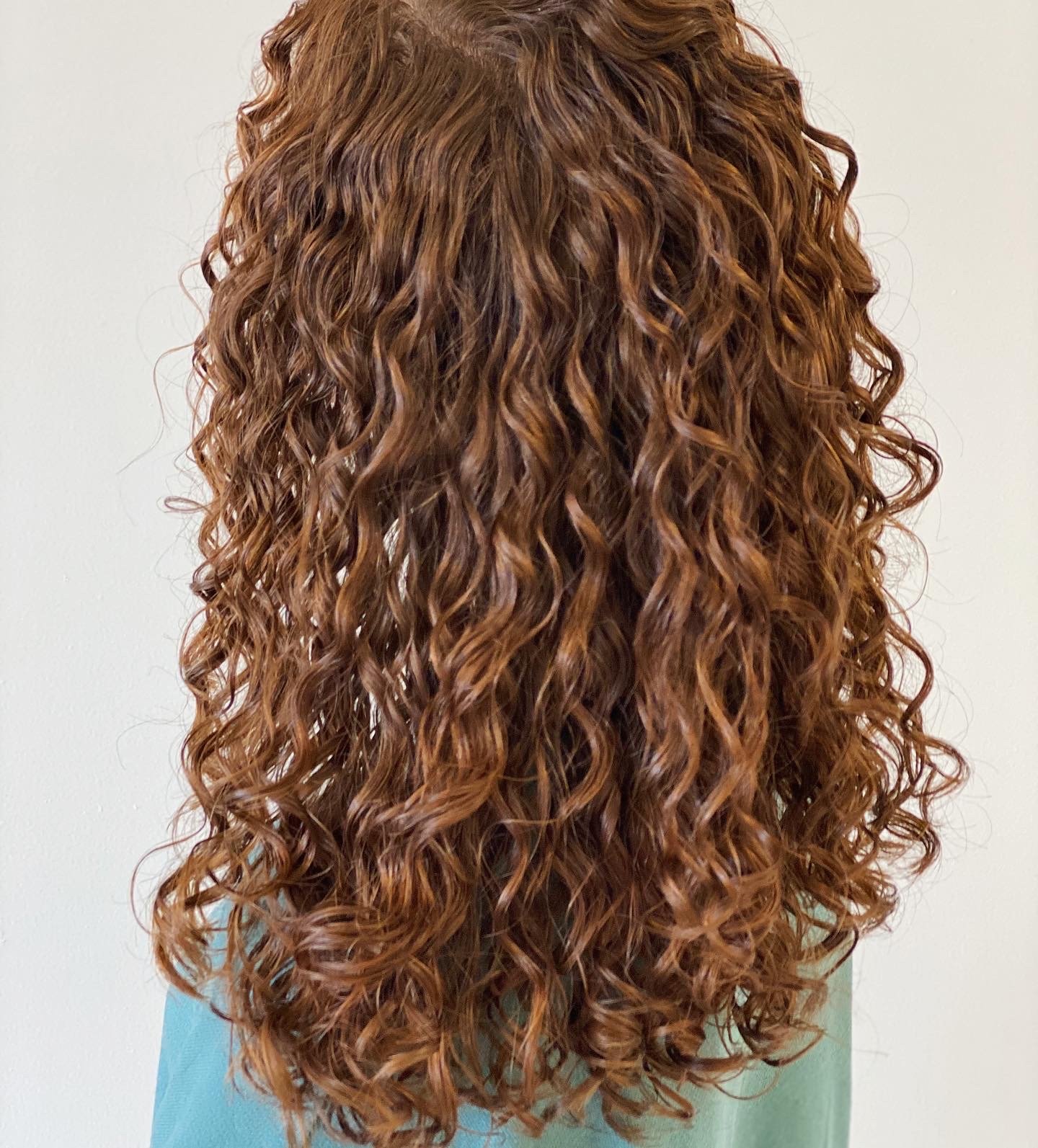 Back view of a person with long, curly, reddish-brown hair.