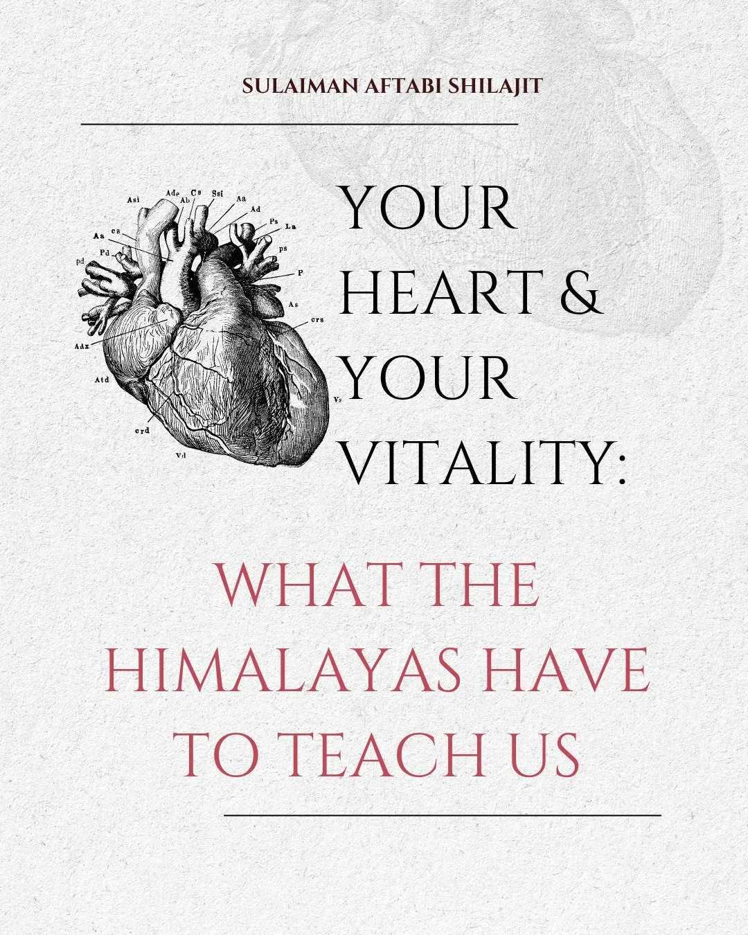 &ldquo;Shilajit &amp; Heart Vitality&rdquo;

💖 Your heart never rests &mdash; and neither should your care for it.
Every second, your heart beats life into you &mdash; circulating oxygen, energy, and resilience through 60,000 miles of vessels.

But 