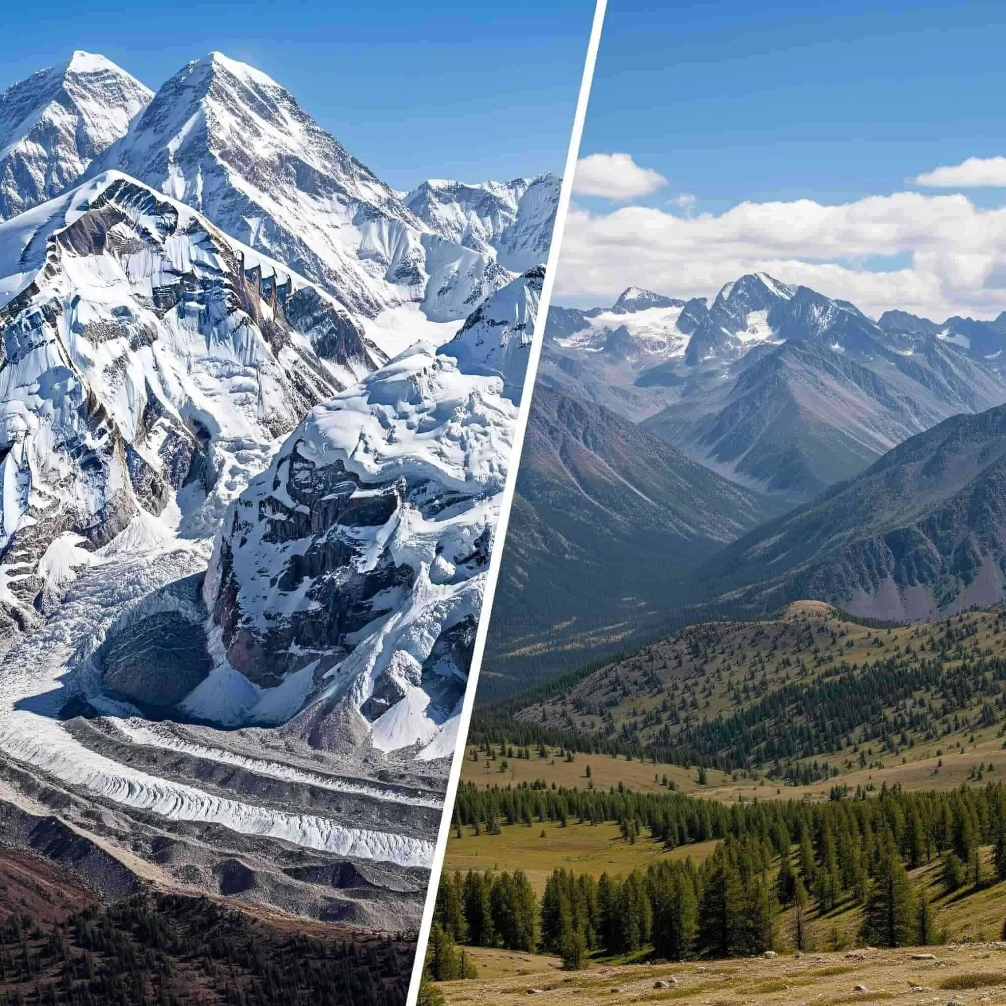 Himalayan vs. Altai Shilajit: What Sets Them Apart?