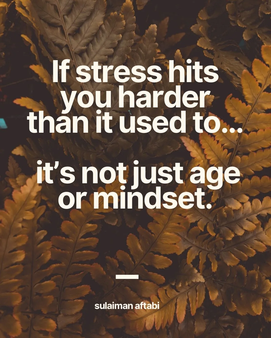Stress feels mental &mdash; but its impact is deeply physical.

Every stressful day increases the body&rsquo;s demand for minerals involved in nervous system regulation, energy production, and recovery. Over time, this quiet depletion shows up as irr