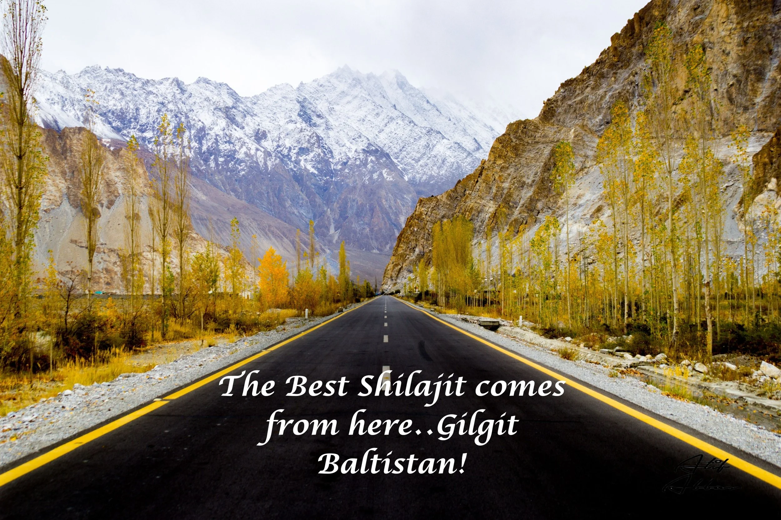 The Best Shilajit Comes From Gilgit-Baltistan!