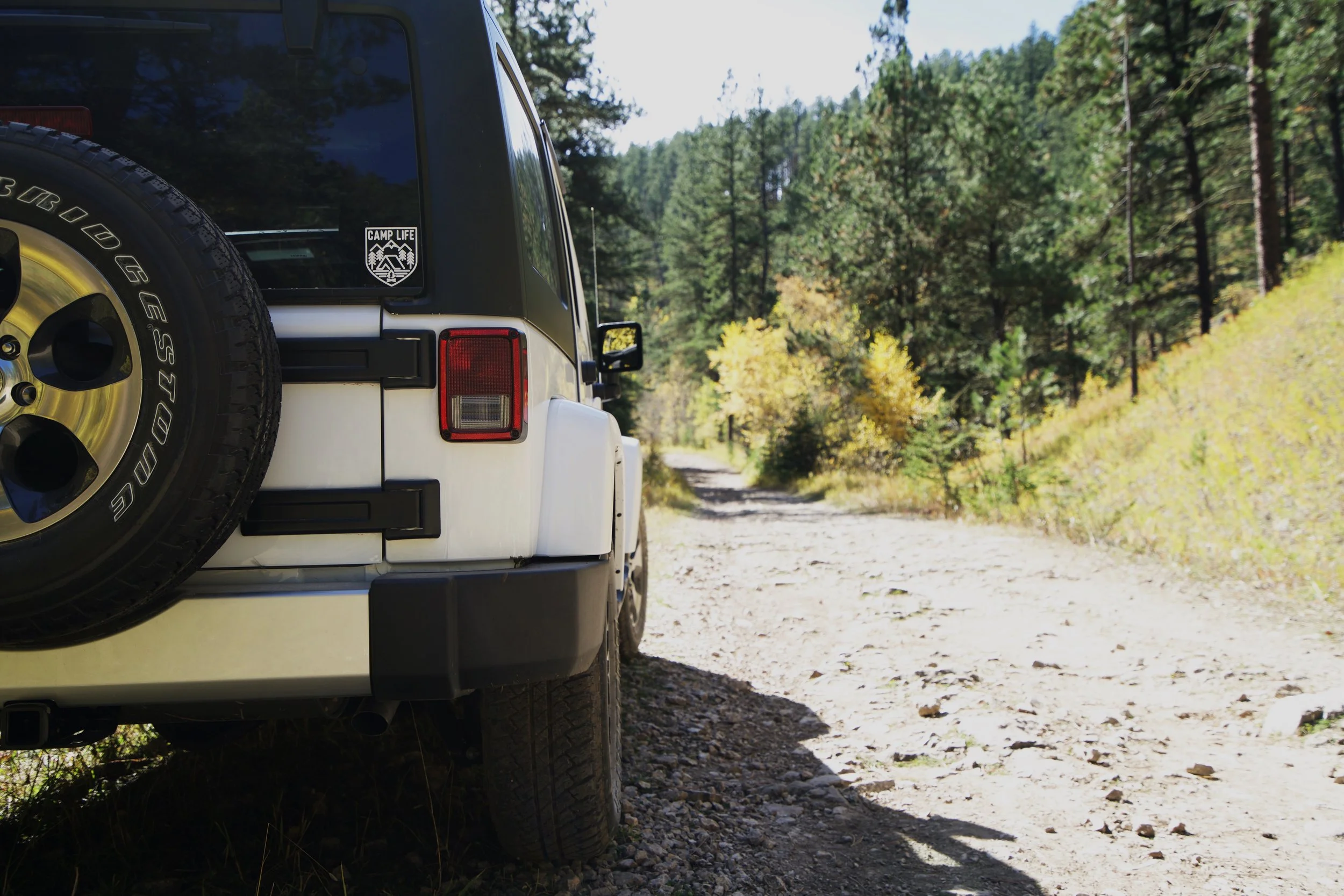Rear view of a white and black Jeep parked on a dirt trail in a forested area with trees and shrubs on both sides.