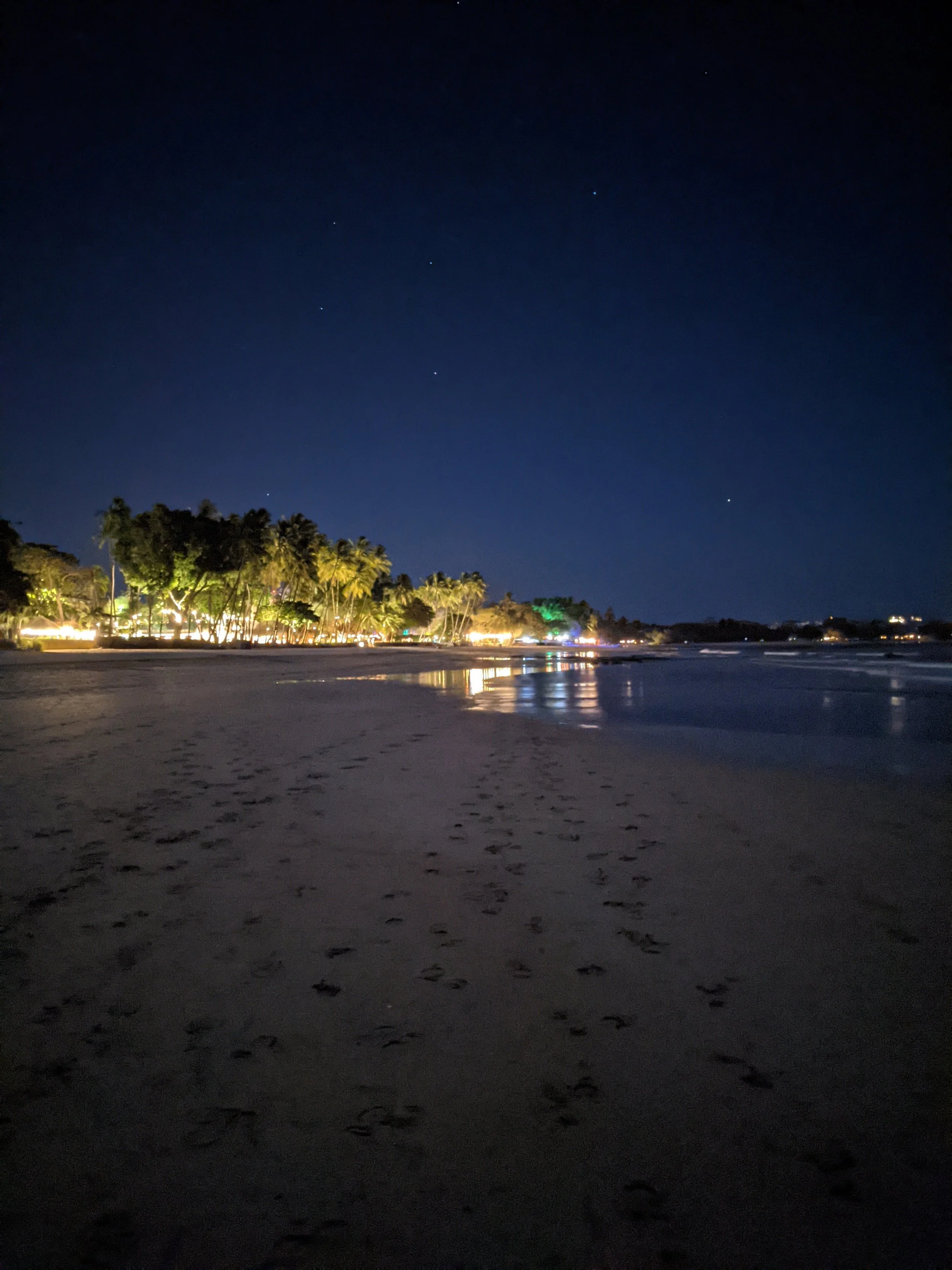 PXL_20210327_035731596.NIGHT (1).jpg