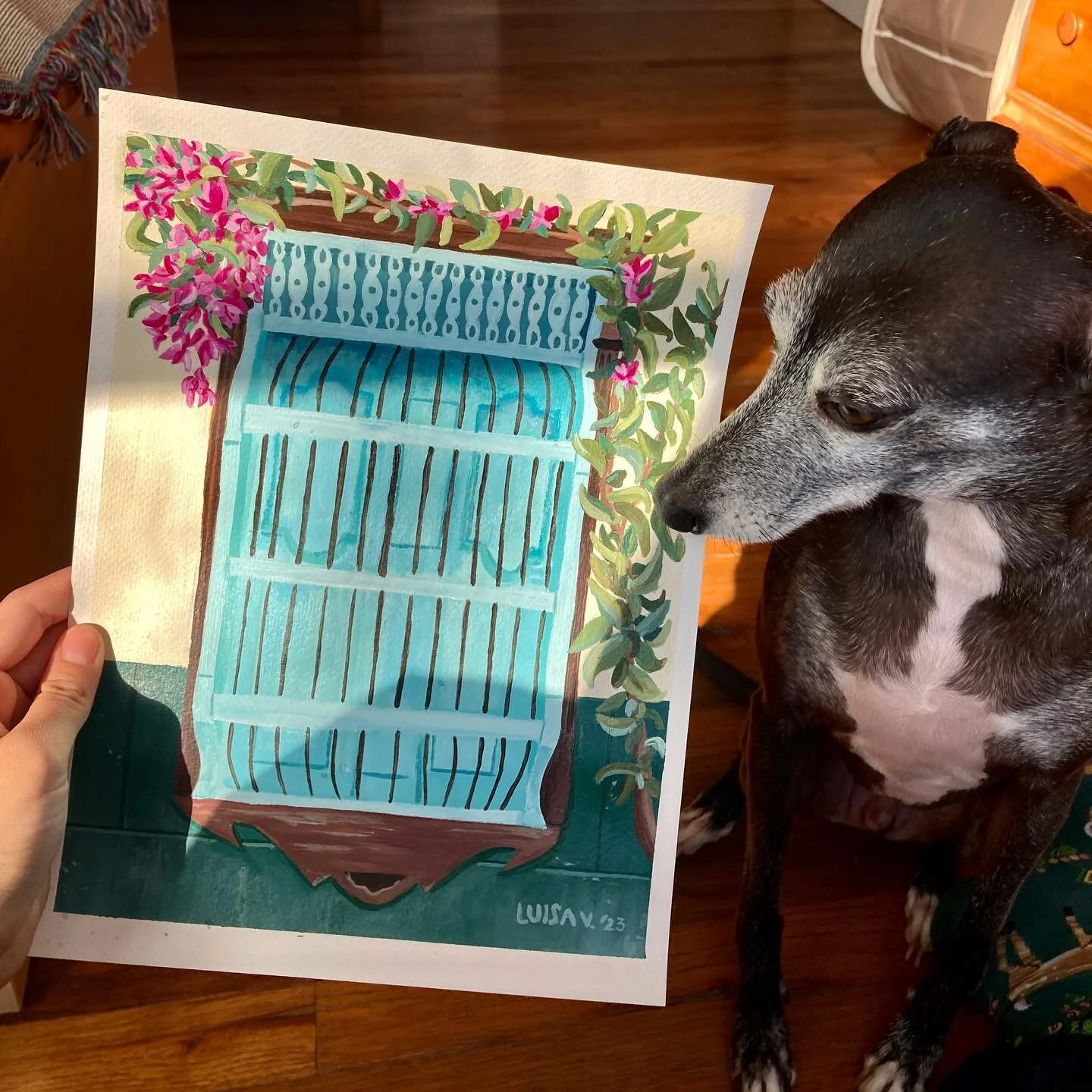 abe, the art critic, taking in a fun one I painted while I spend a covid christmas at home reminiscing about my travels through colombia and mexico. this is a window I saw in jeric&oacute;, antoquia, colombia 🇨🇴 

on a different note, you may have 