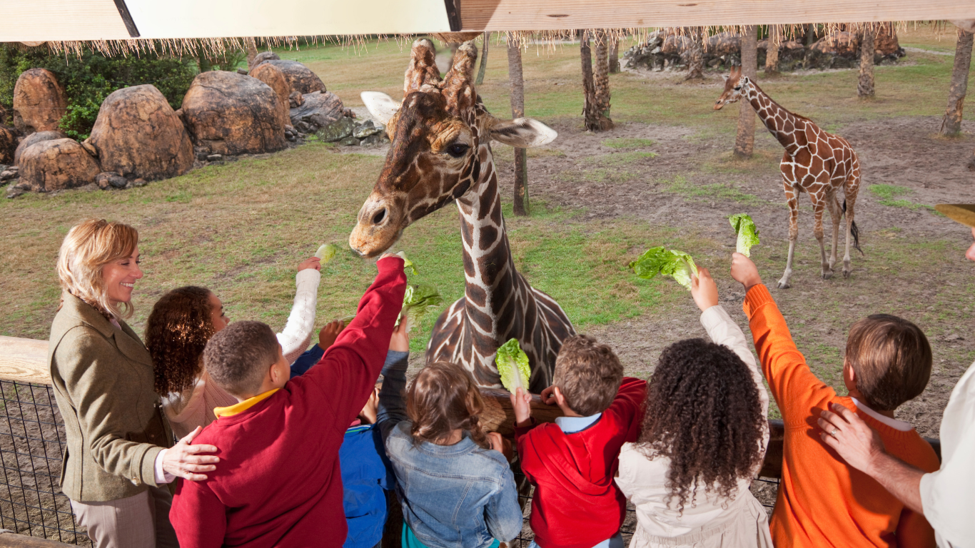 September 30 | Sensory-Friendly ZooBoo at the Indianapolis Zoo