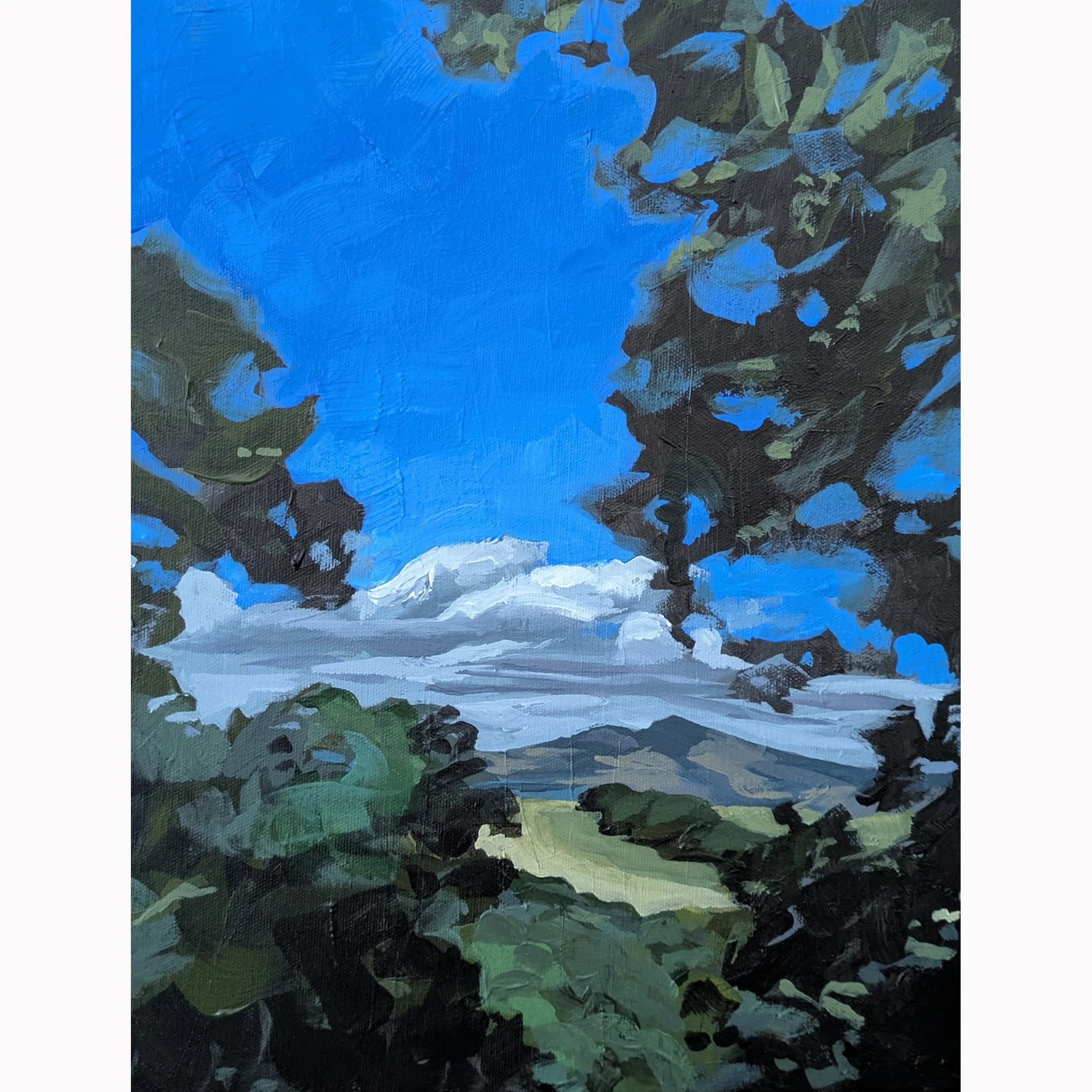 diablo through the treessq.jpg