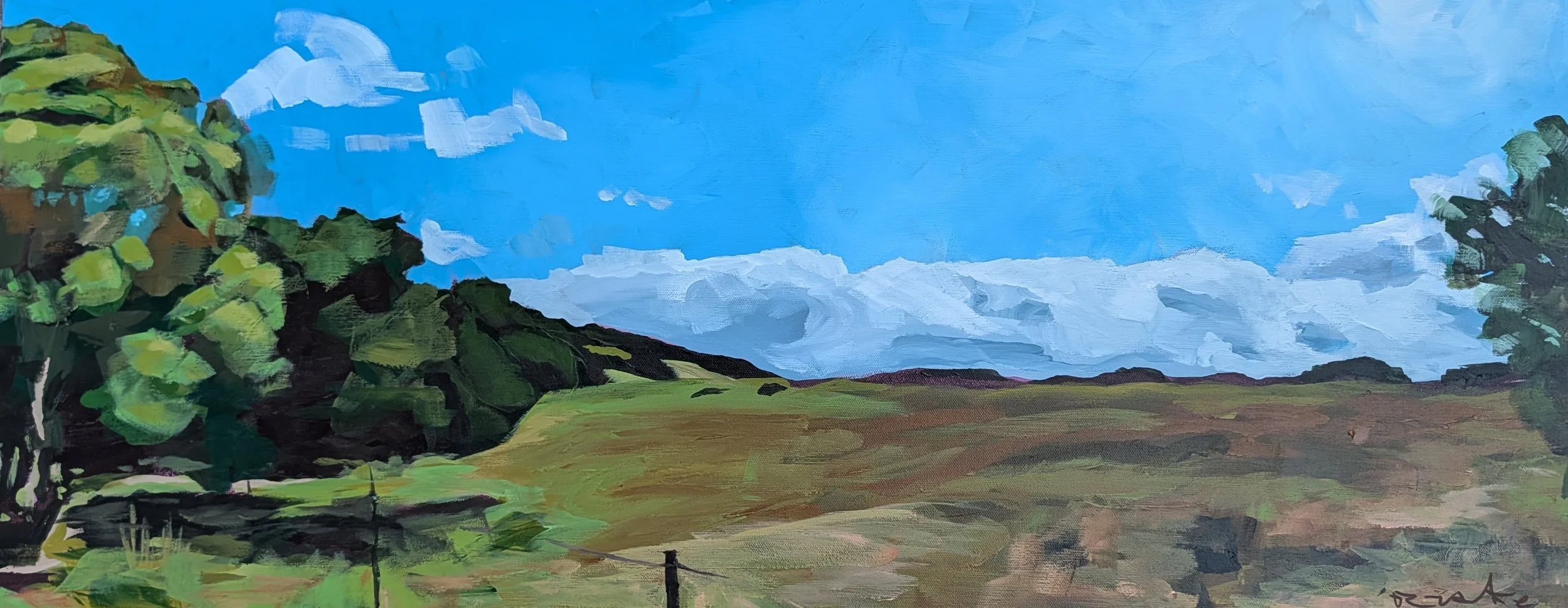 Top of Hank