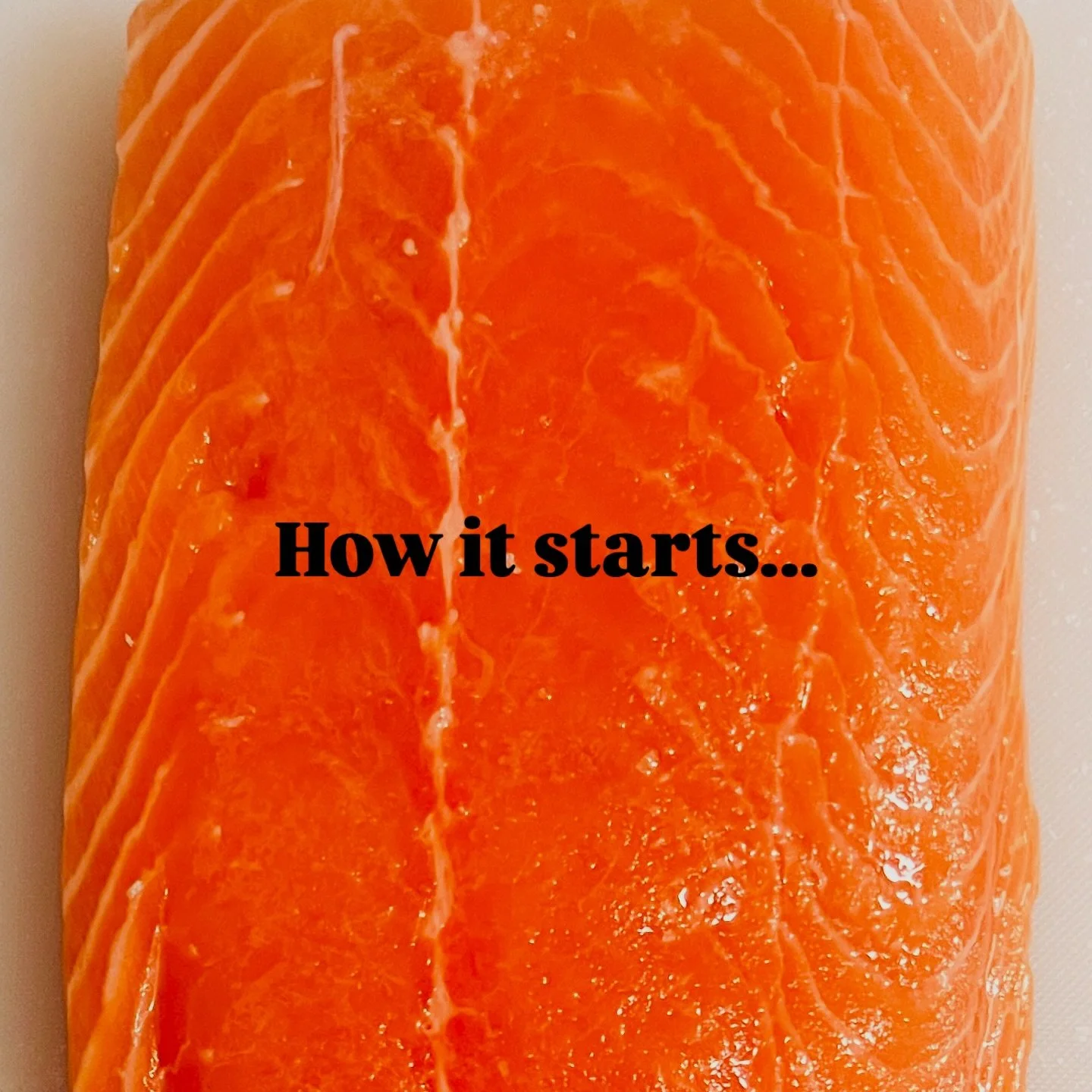 Tamari maple glazed salmon flaked over a whateverIhadinmyfridgeplusgreens salad.