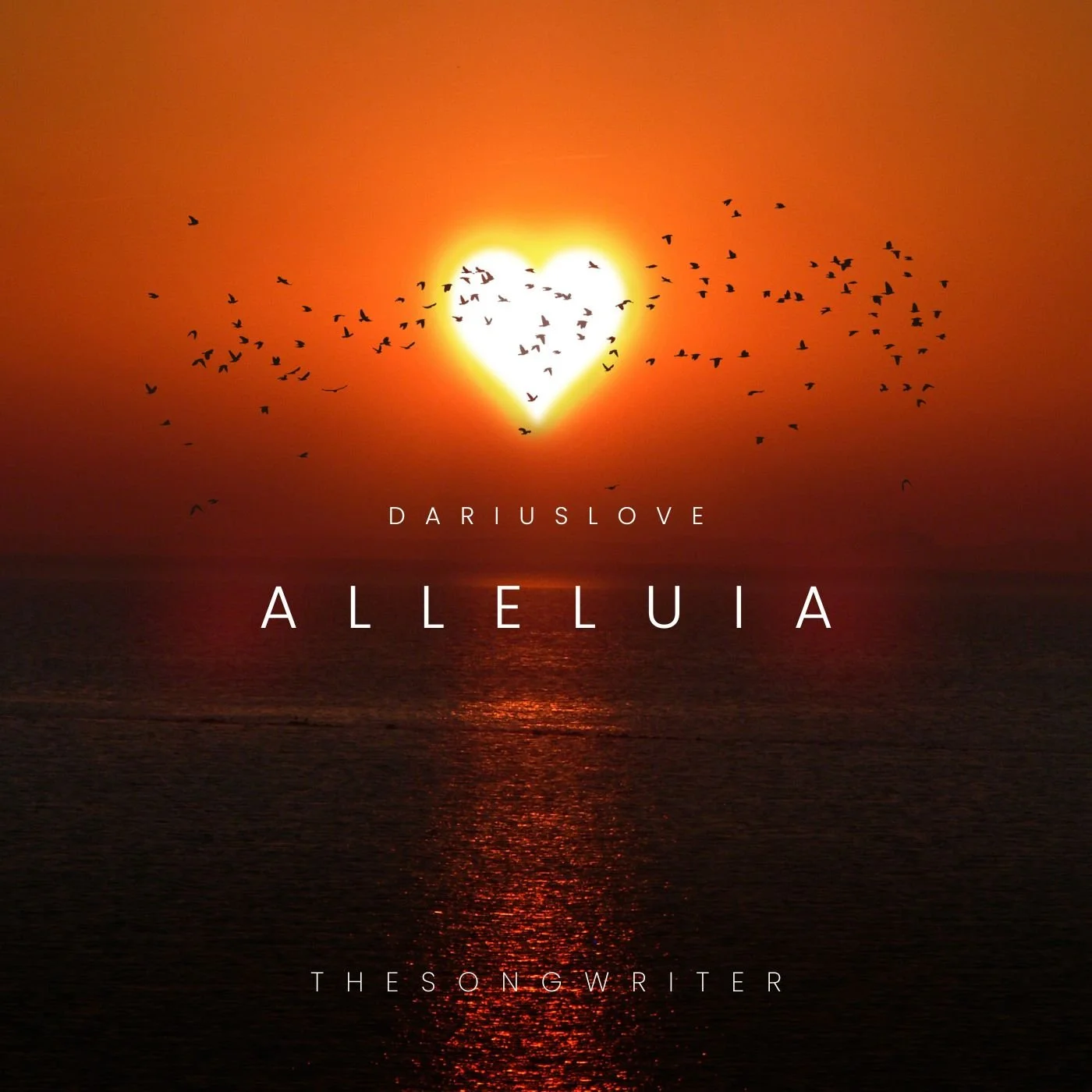 Sunset over the ocean with a flock of birds flying across the sky, heart-shaped sun in the background, and the words "DARIUSLOVE" and "ALLELUIA" on the image.