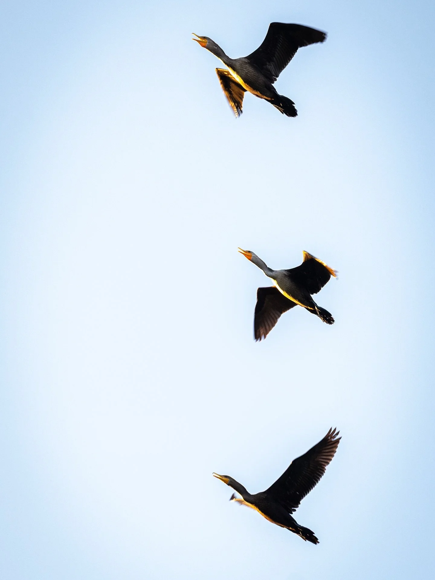 &ldquo;three&rsquo;s company&rdquo;