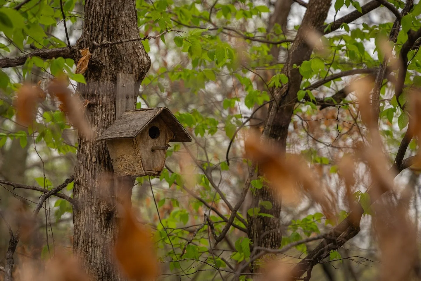 &ldquo;nobody&rsquo;s home&rdquo;