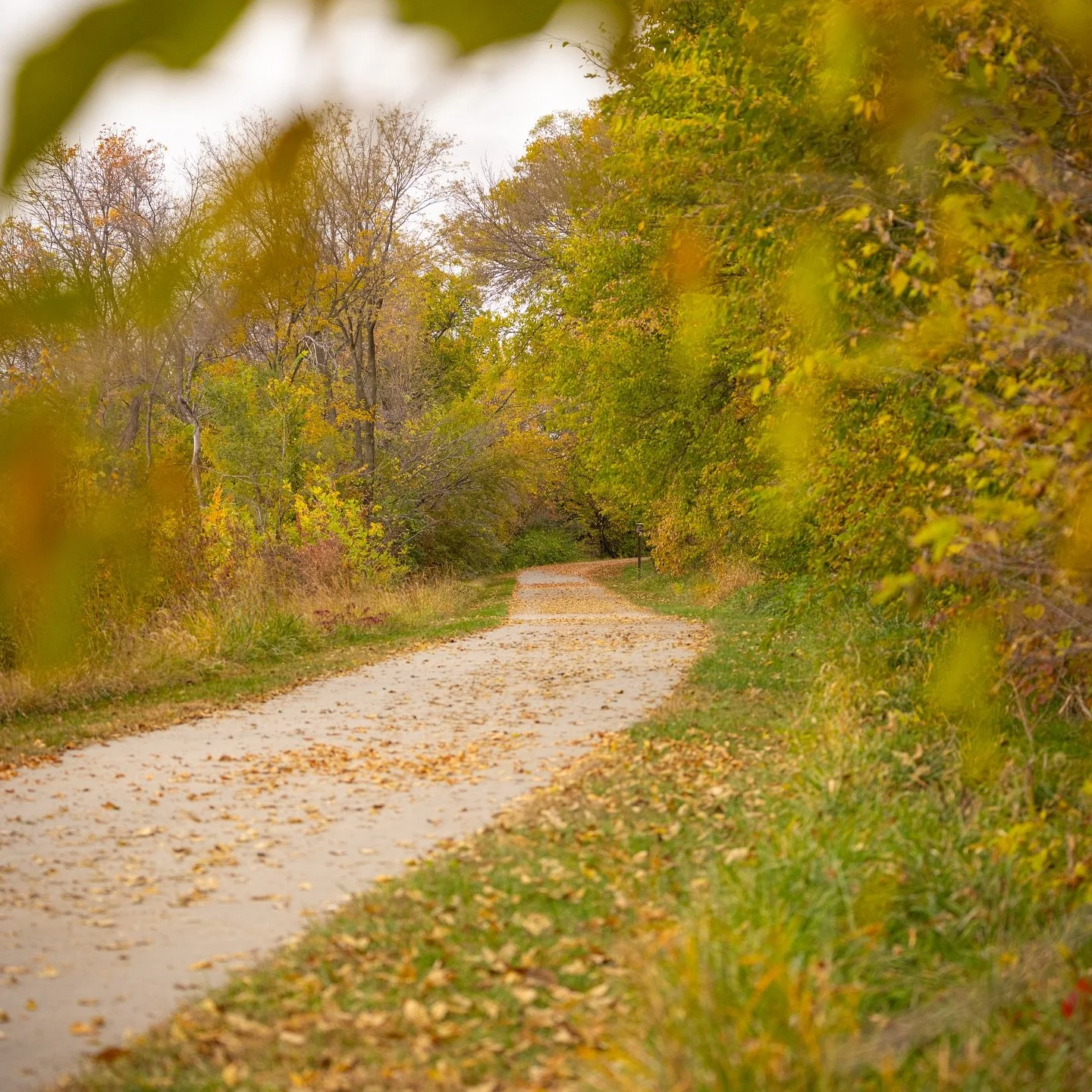 Fall walks in the park &gt;&gt;&gt;